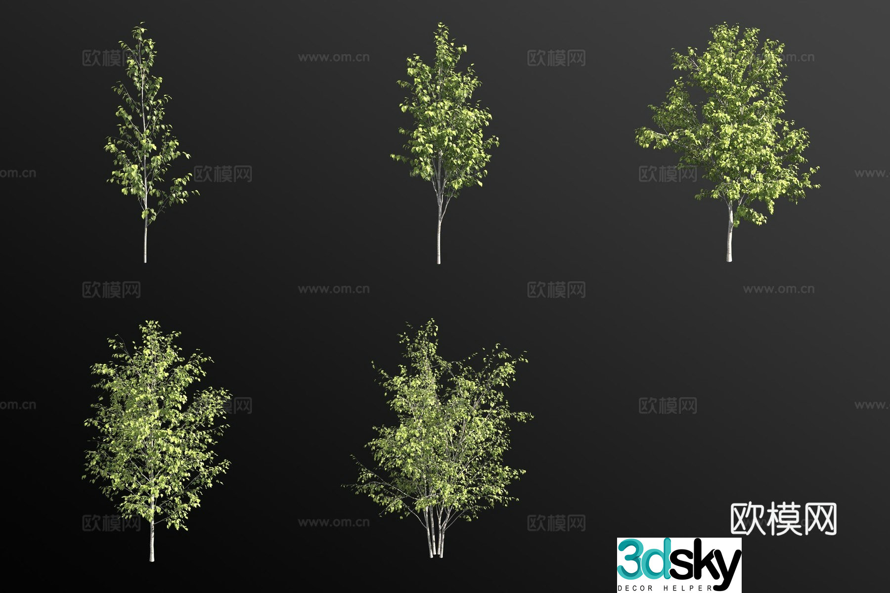 Brutal birch landscape tree tree 3d model