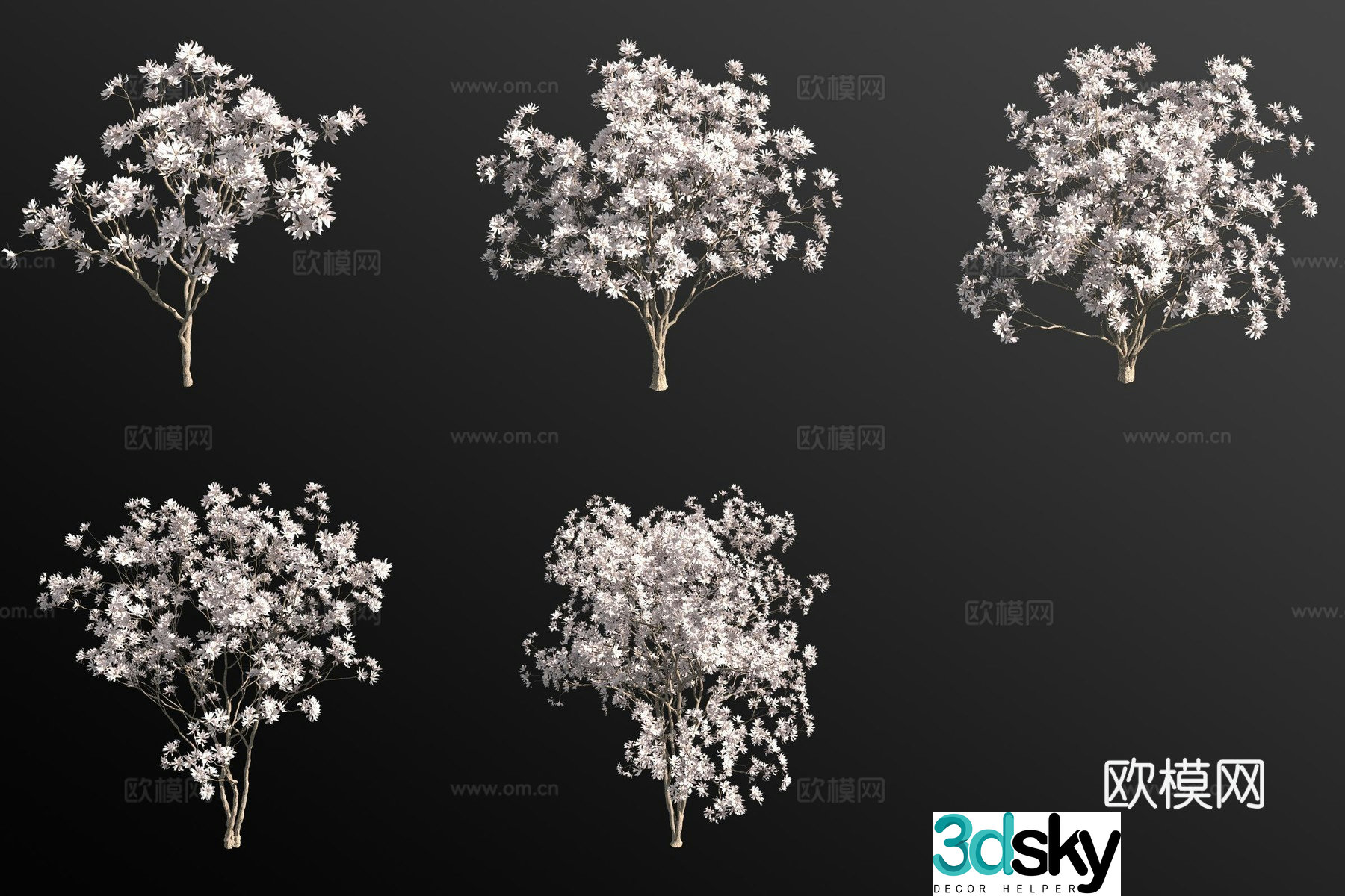 Japanese Magnolia Flower Tree Landscape Tree 3D Model