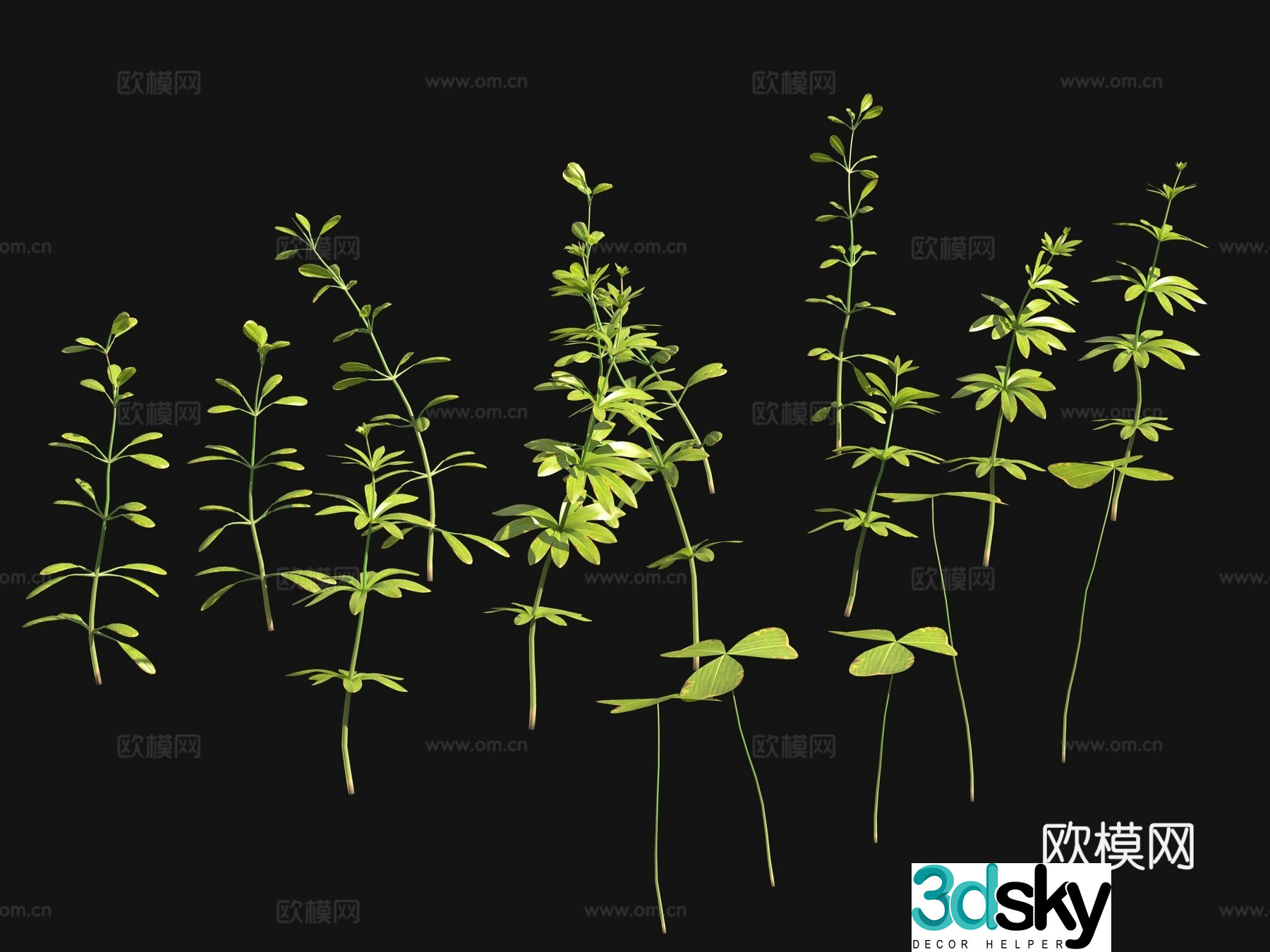 Aquatic plants aquatic plants 3D model