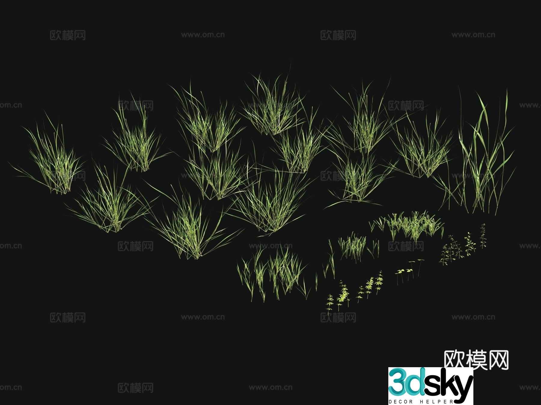 Flowers and plants Lawn Grass Seeds 3D Model
