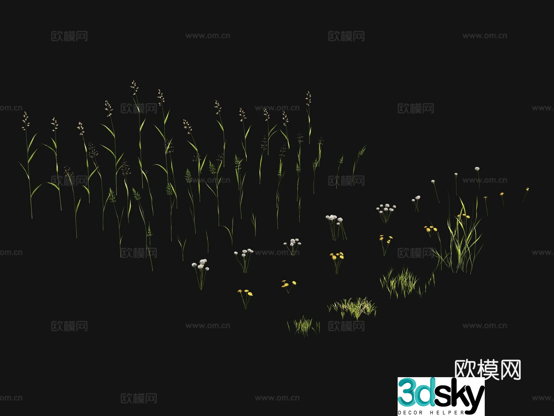 Flowers and plants Lawn Grass Seeds 3D Model