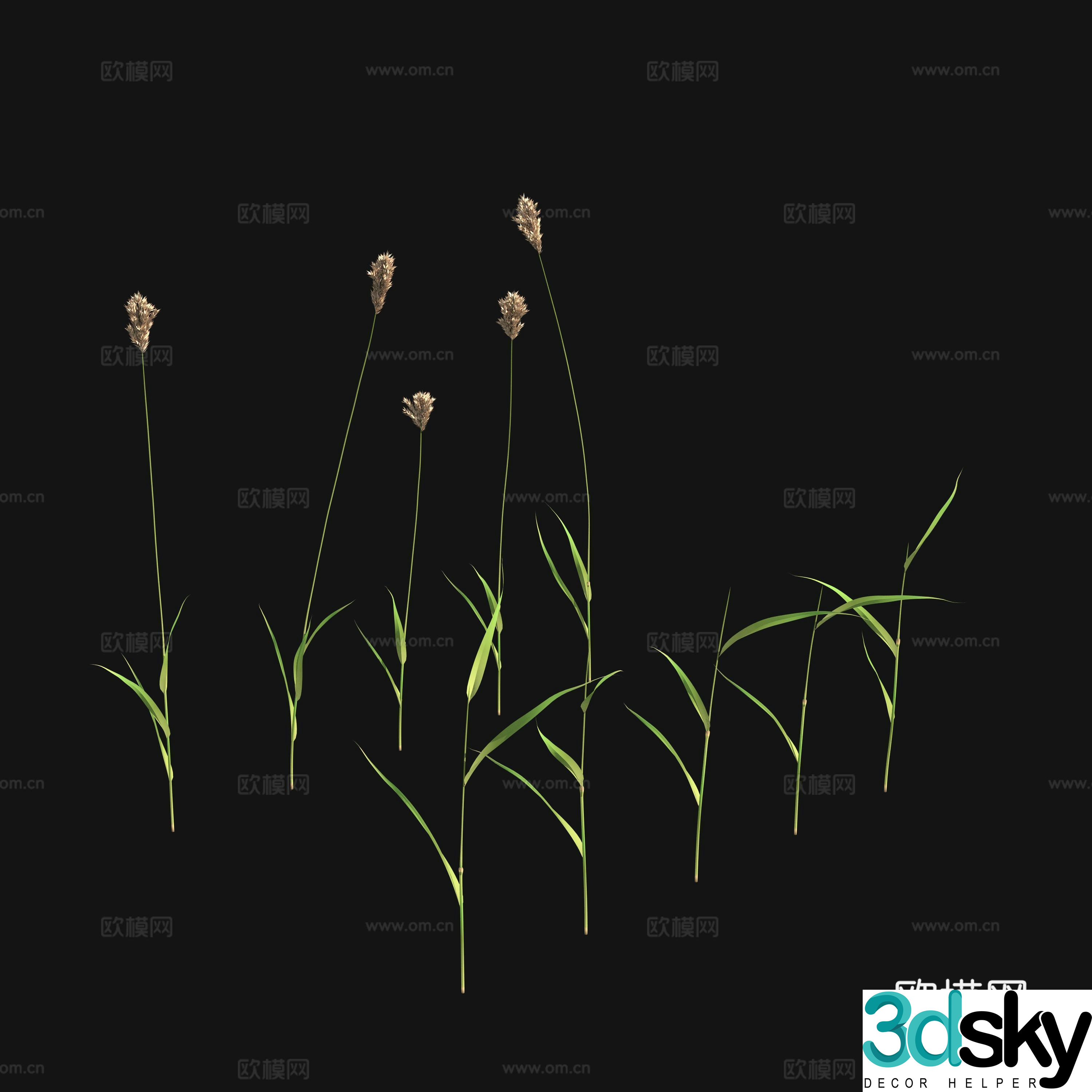 Flowers and plants 3d model