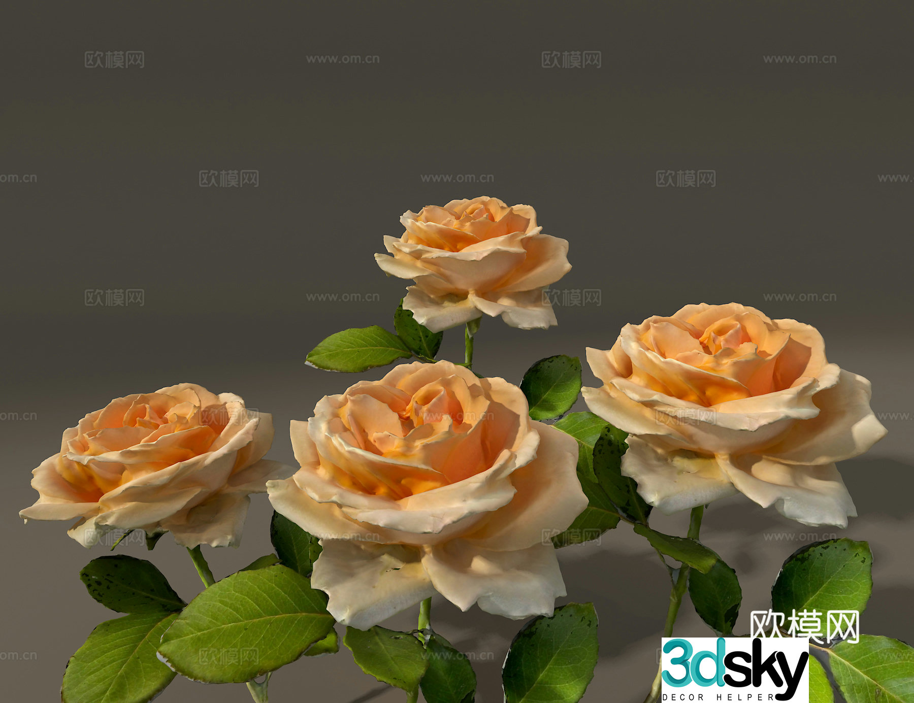 Rose 3d model