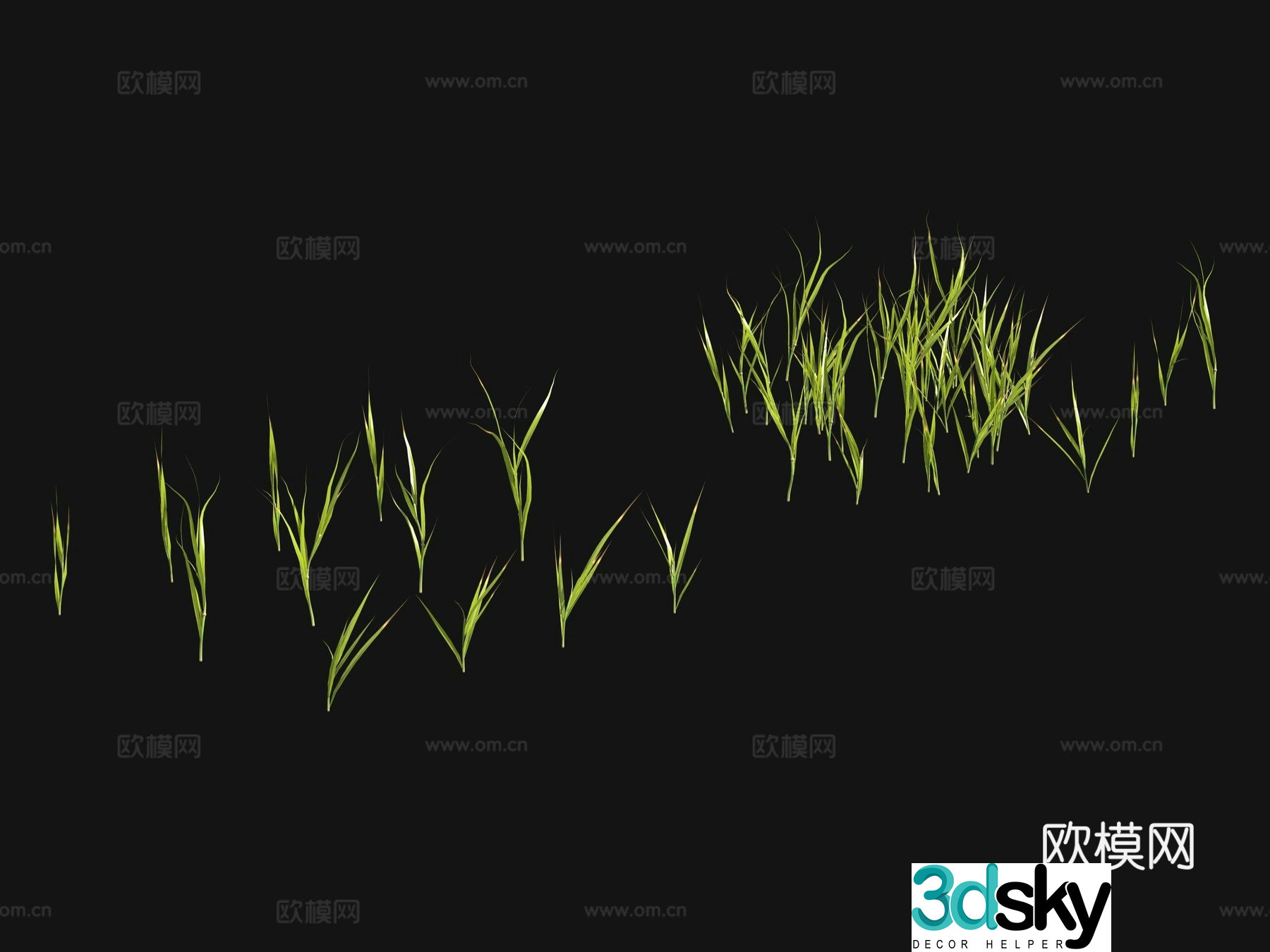 Grass seeds lawn 3d model