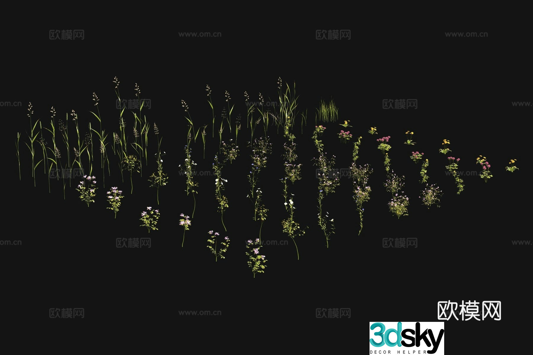 Flowers and plants Wild flowers Wild grass 3d model