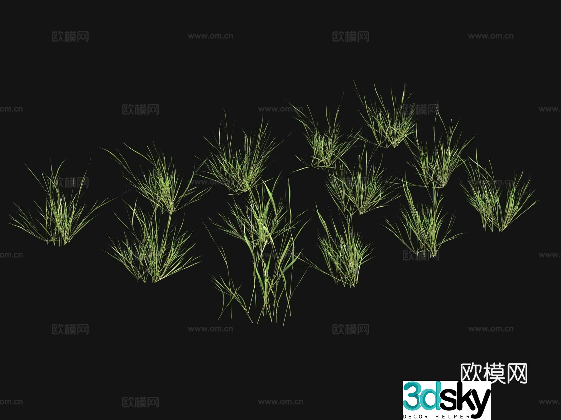 Grass seeds lawn 3d model