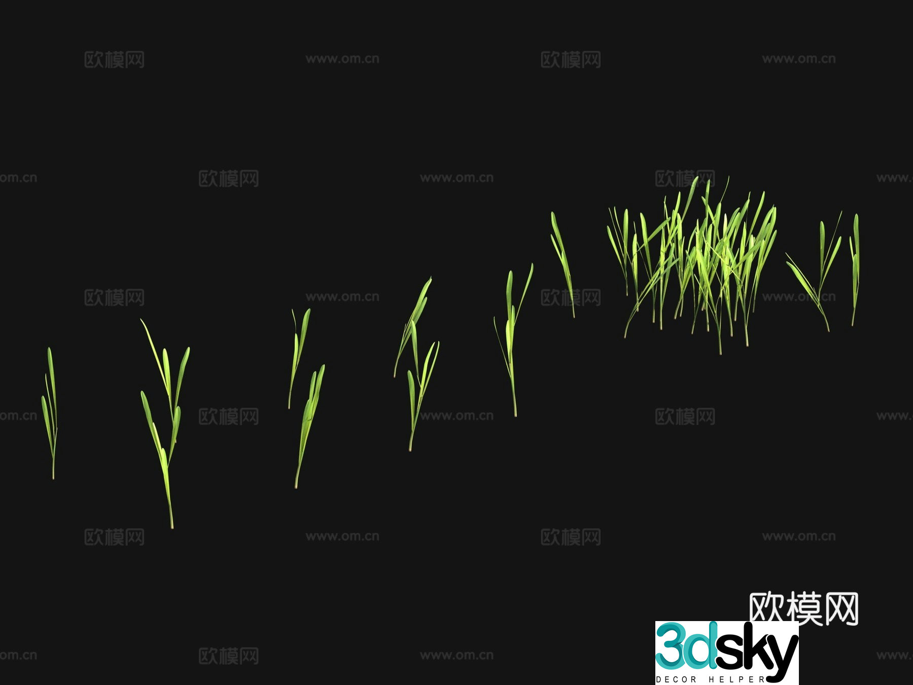 Grass seeds lawn 3d model