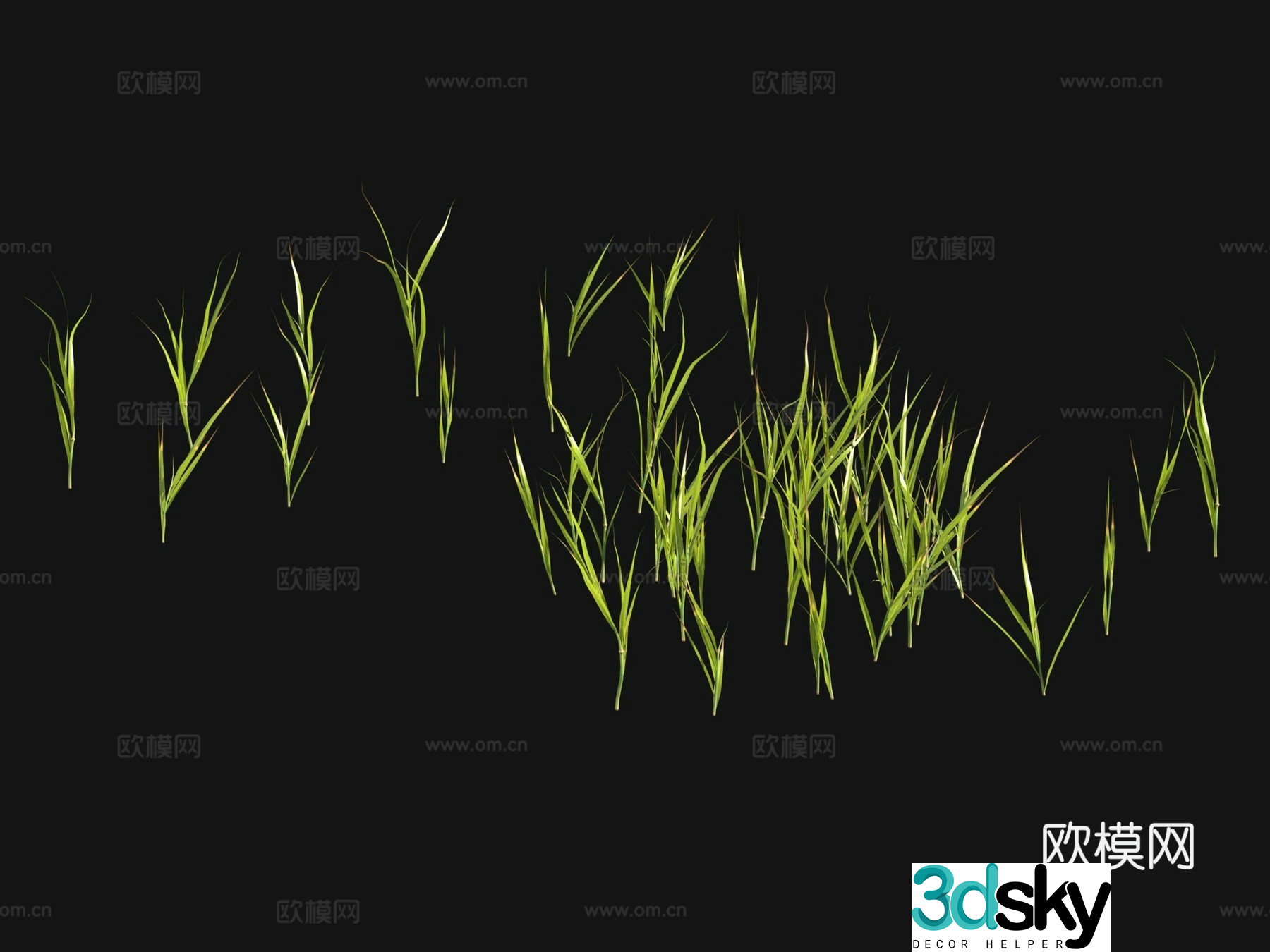 Flowers and plants Lawn Grass Seeds 3D Model