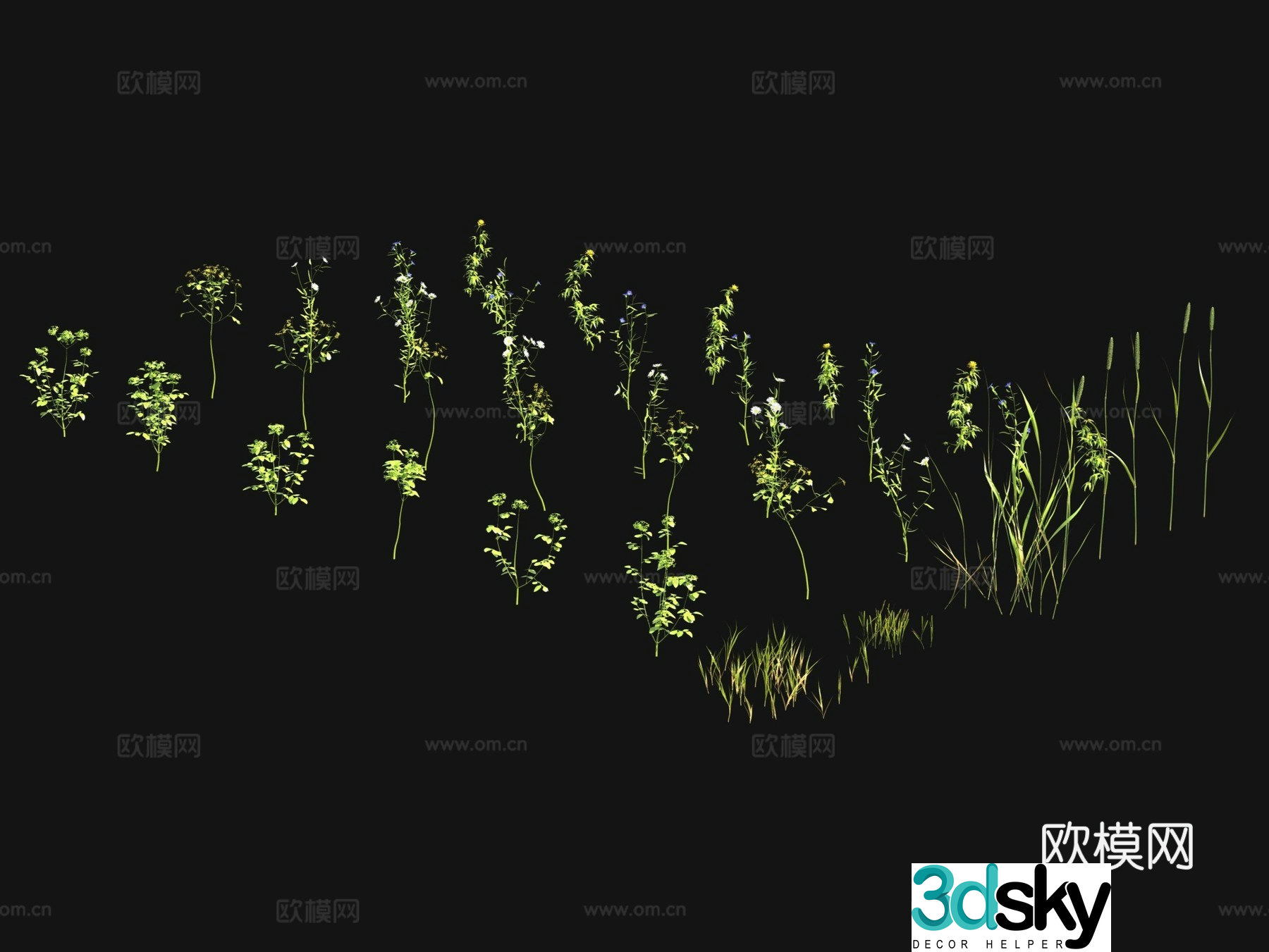 Flowers and plants Wild flowers Wild grass 3d model