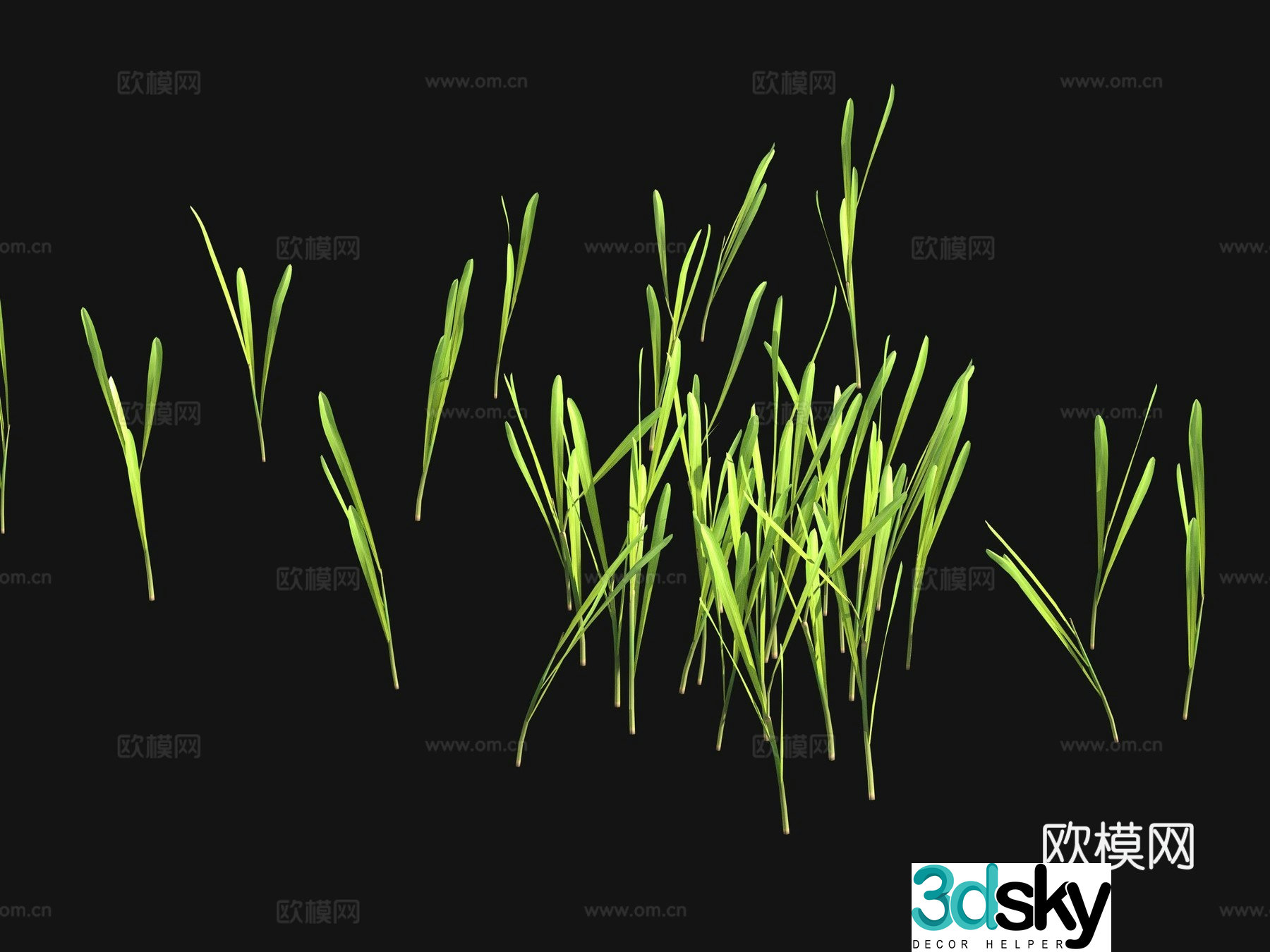 Flowers and plants Lawn Grass Seeds 3D Model