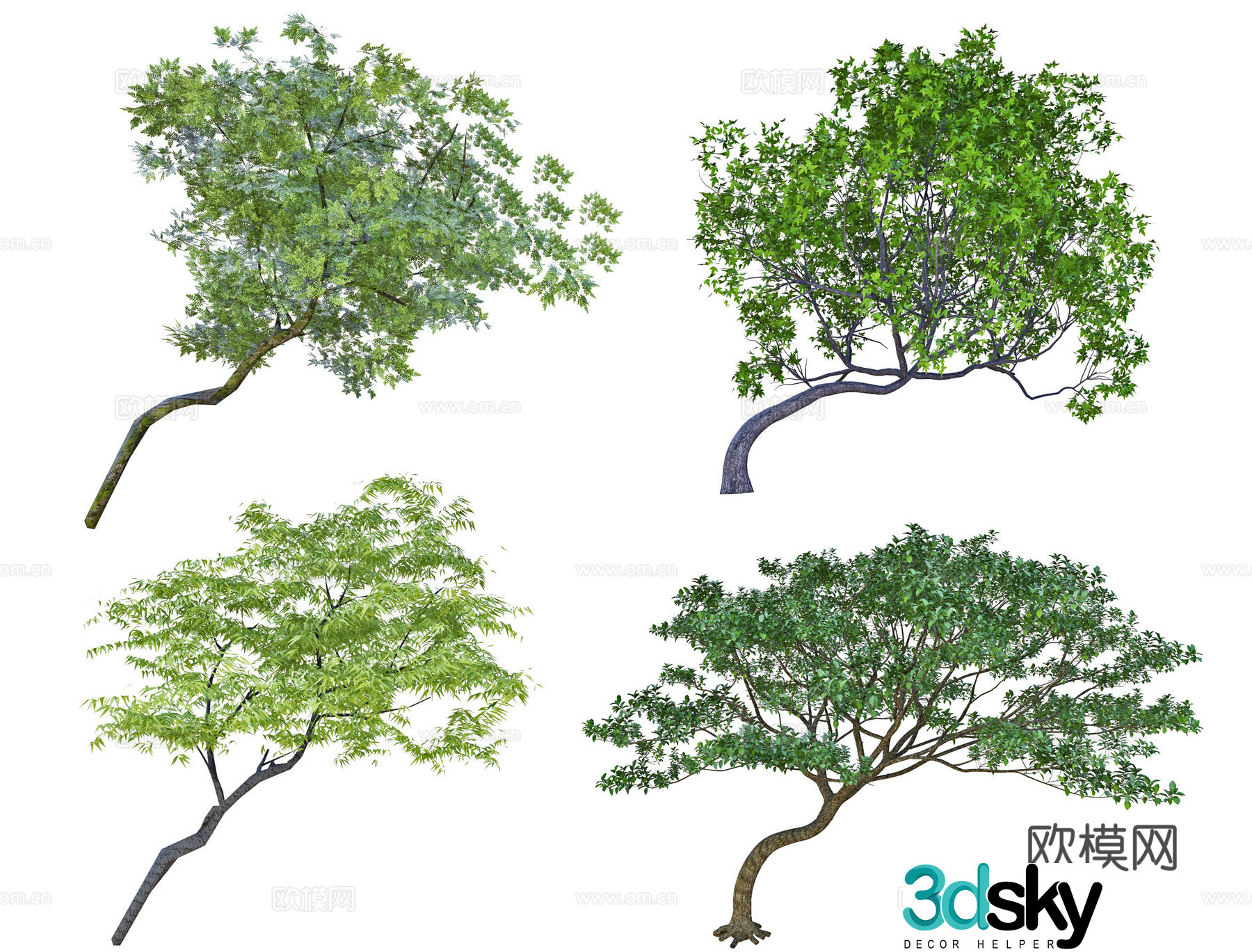 Crooked Neck Tree Slanted Floating Tree Floating Branch Tree Slanted Crown Tree Modeling Tree Bend Rod Tree 3D Model