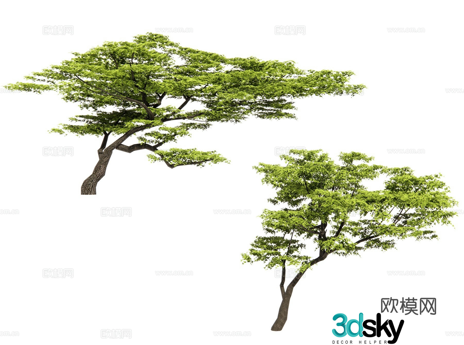 Slanted tree Floating branch tree Crooked neck tree Crooked crown tree Modeling tree Bend pole tree 3D model
