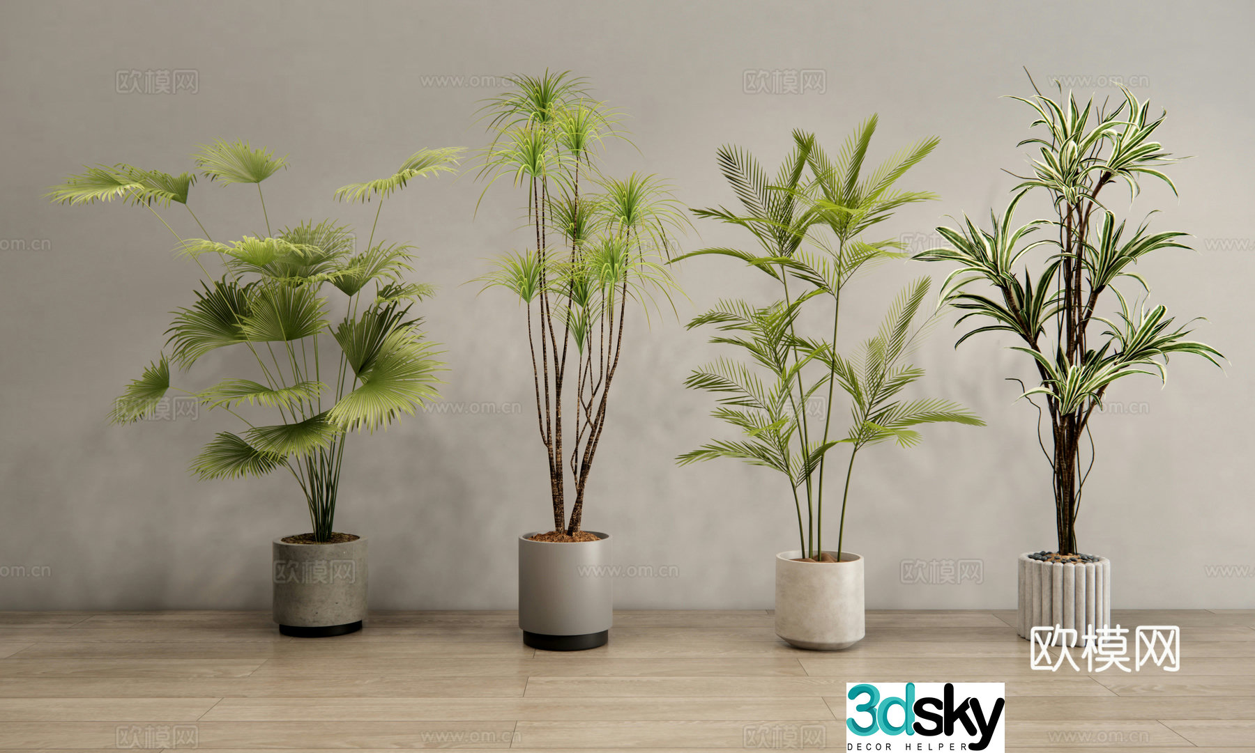 Modern plant potted plants Green plant potted plants Indoor green plants Bonsai 3D model
