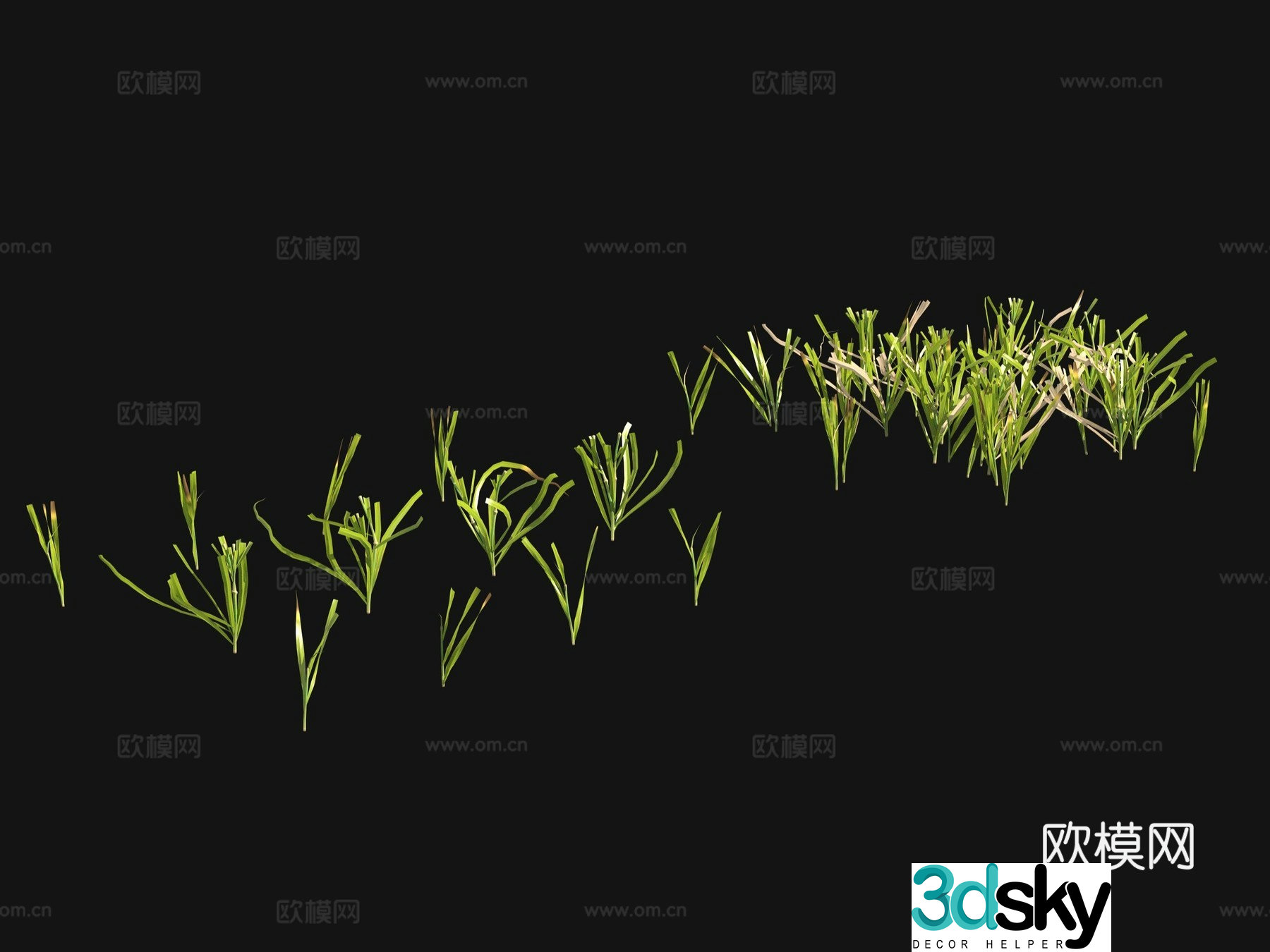 Grass seeds lawn 3d model