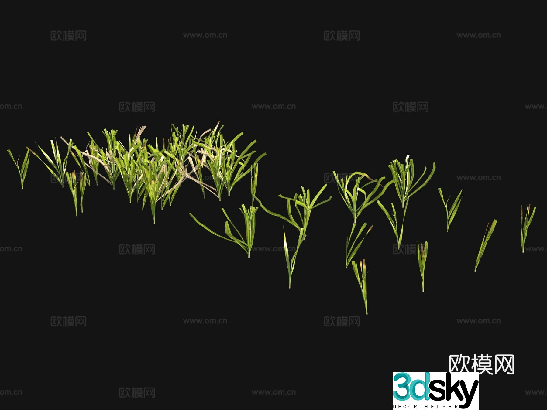 Flowers and plants Lawn Grass Seeds 3D Model