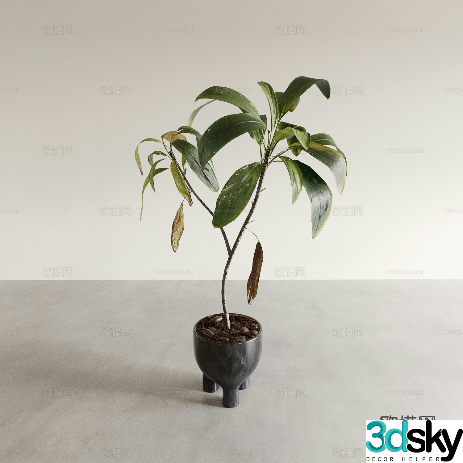 Bonsai potted plants indoor green plants plant ornaments 3D model