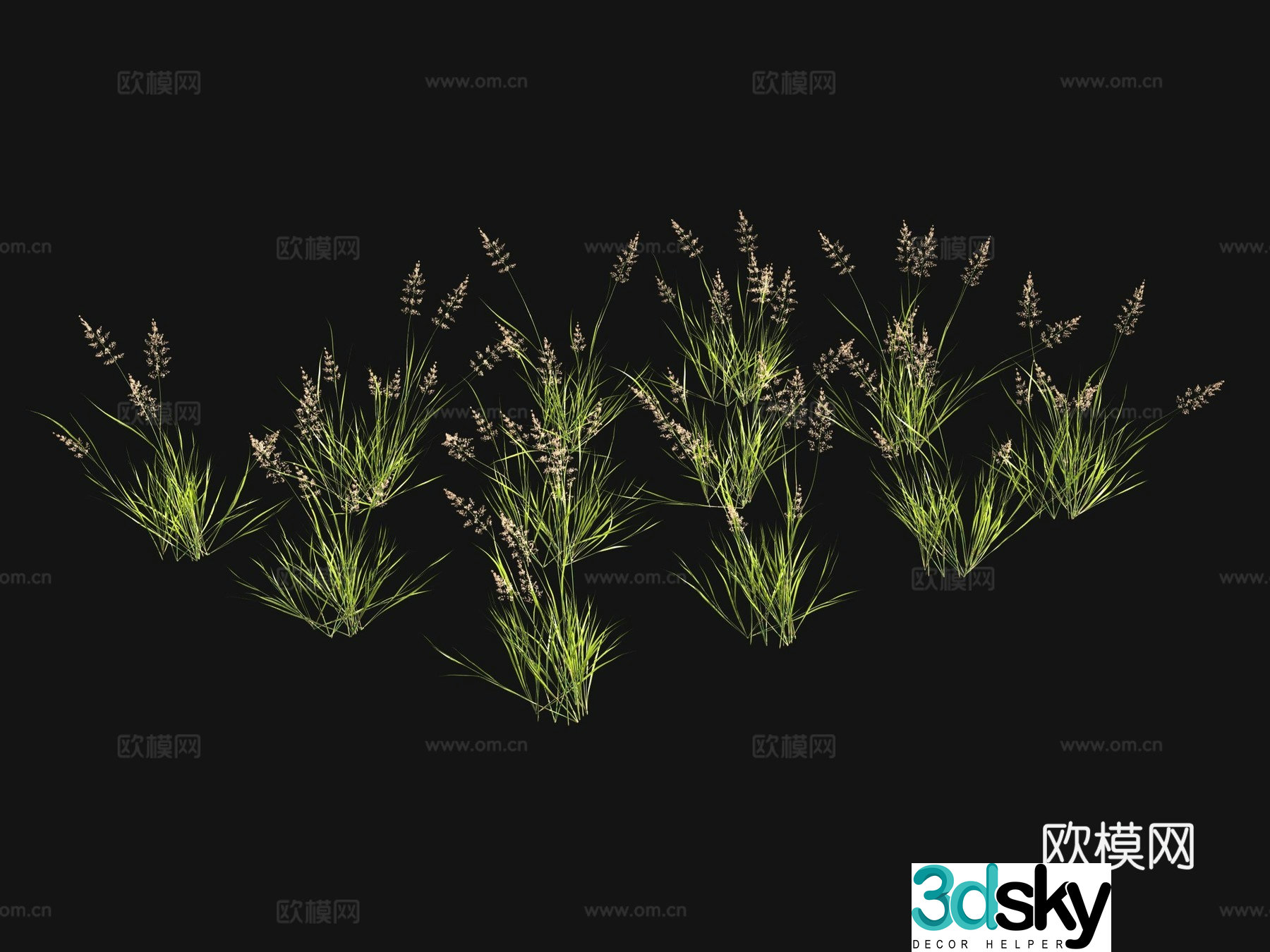 Flowers and plants Grass seeds 3d model