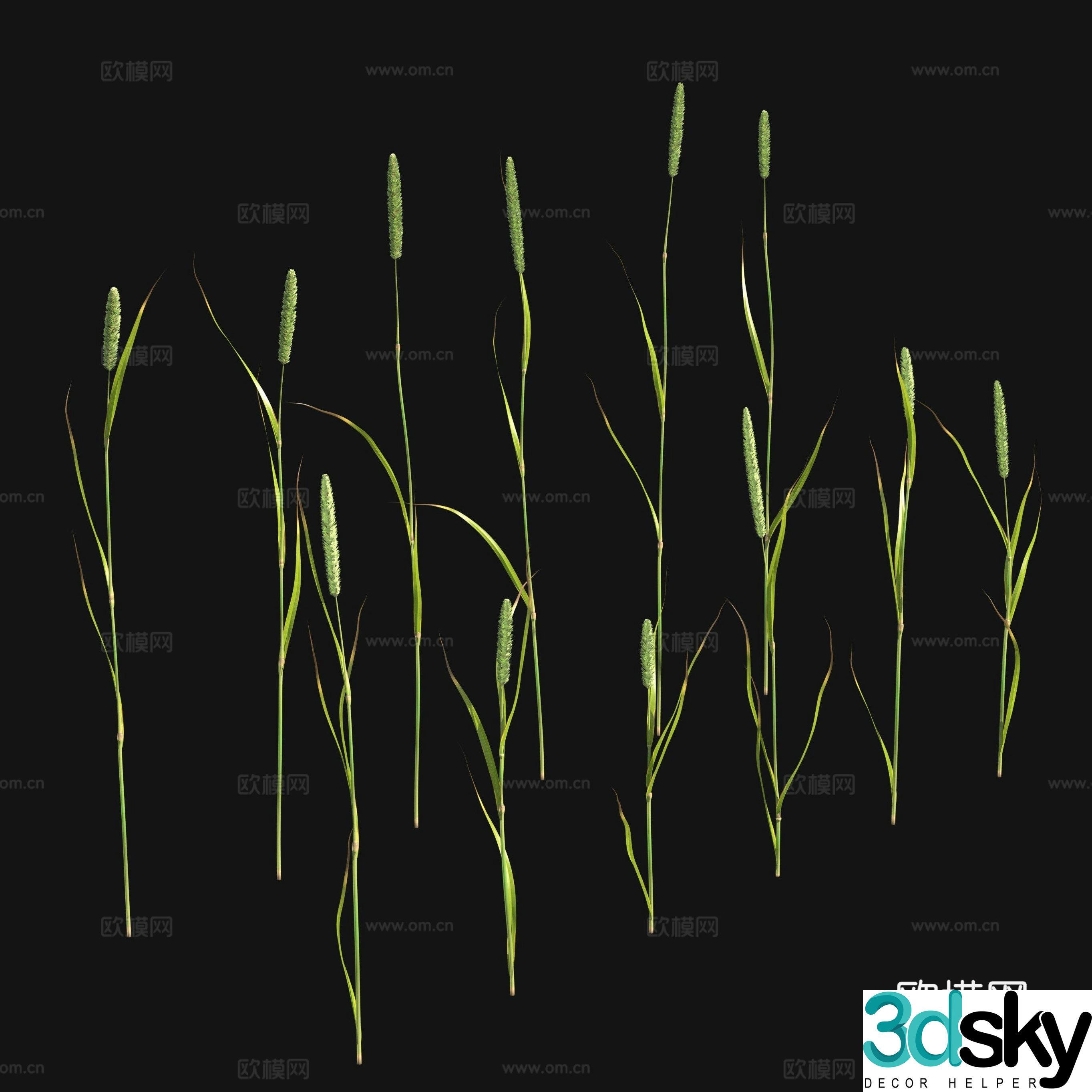 Flowers and plants Wild grass 3d model