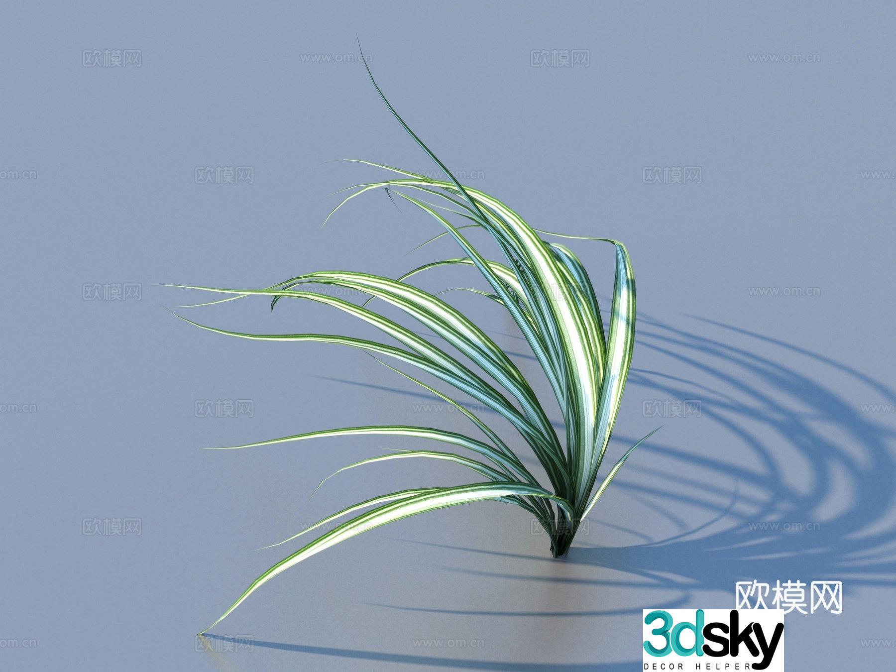 Vegetables Vegetables Leaves Food 3D Model