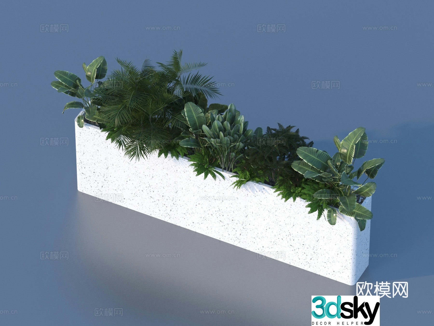 Flower box Fern plant plant heap 3d model