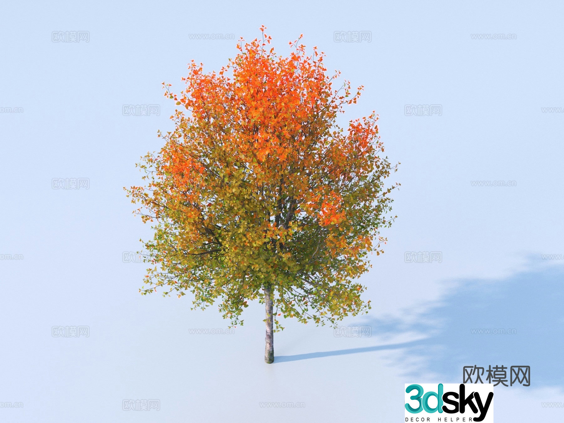Tree Plant Yellow Leaf Tree Autumn and Winter Tree Colorful Tree Landscape Tree 3D Model