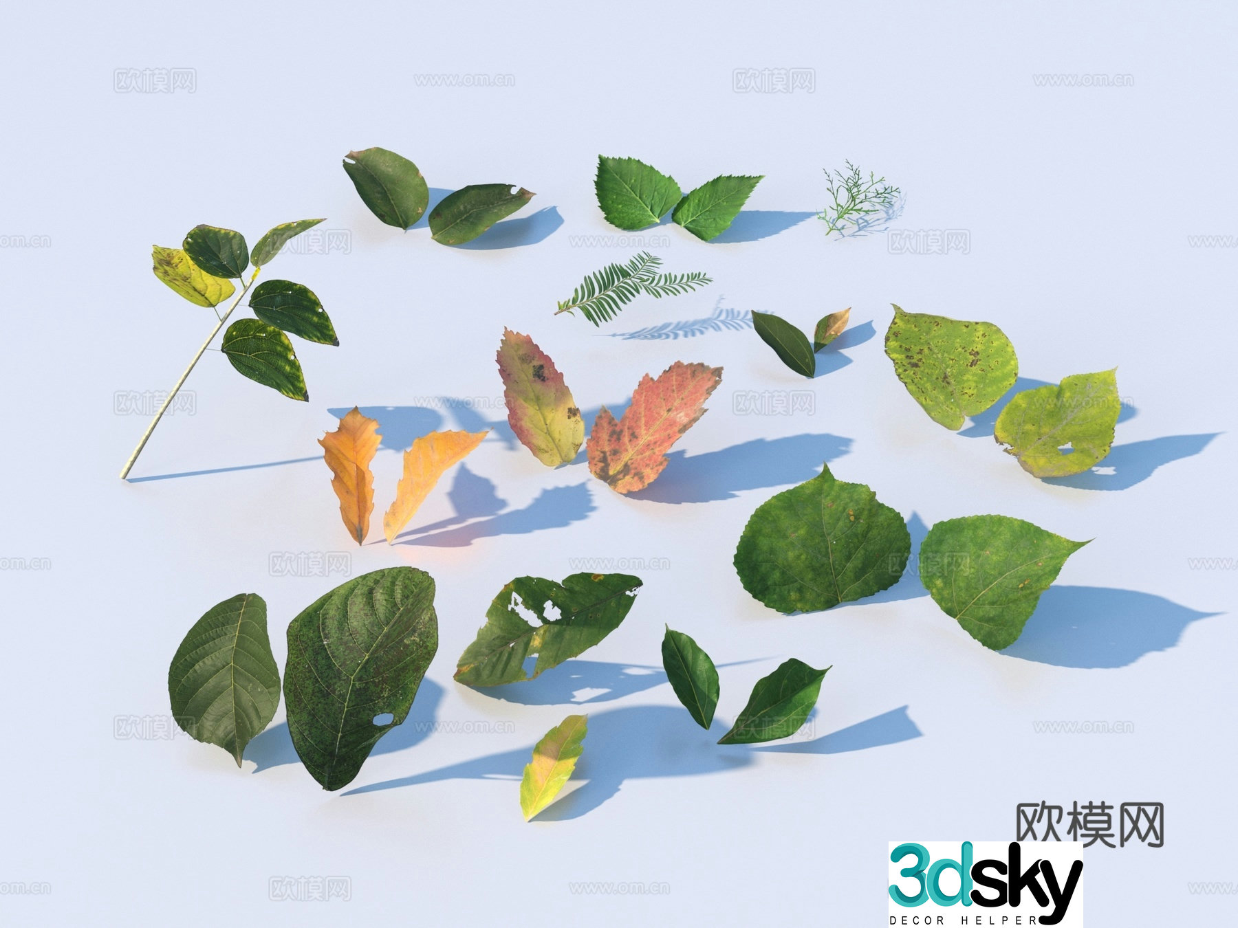 Vegetables and leaves leaves leaves 3D model