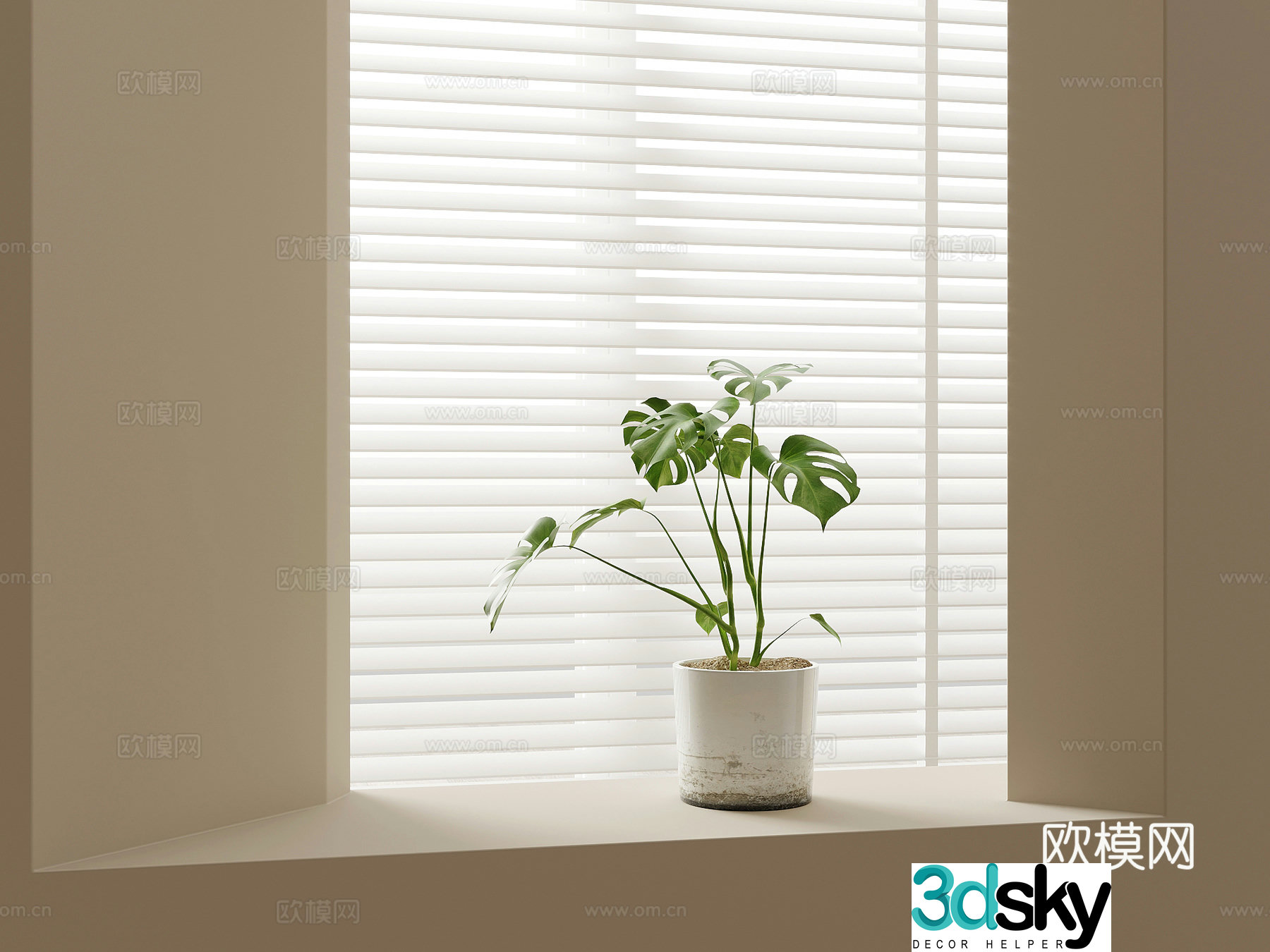 Modern green plants bonsai pot plants monstera 3d model