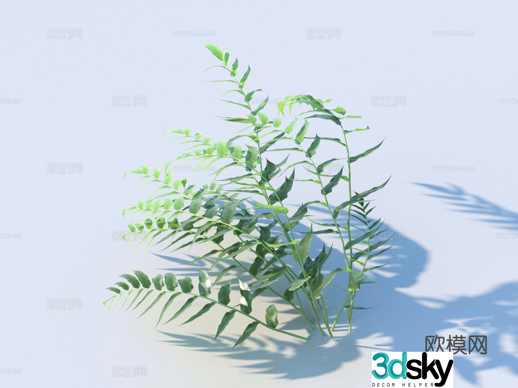 Vegetables Vegetables Leaves Food 3D Model