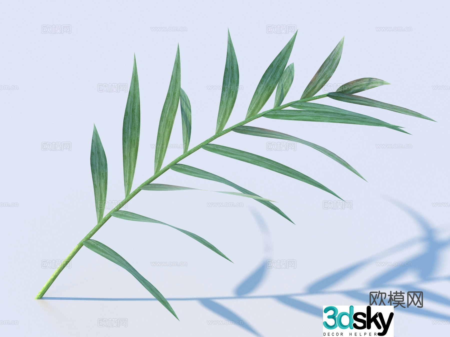 vegetables leaves leaves food 3d model