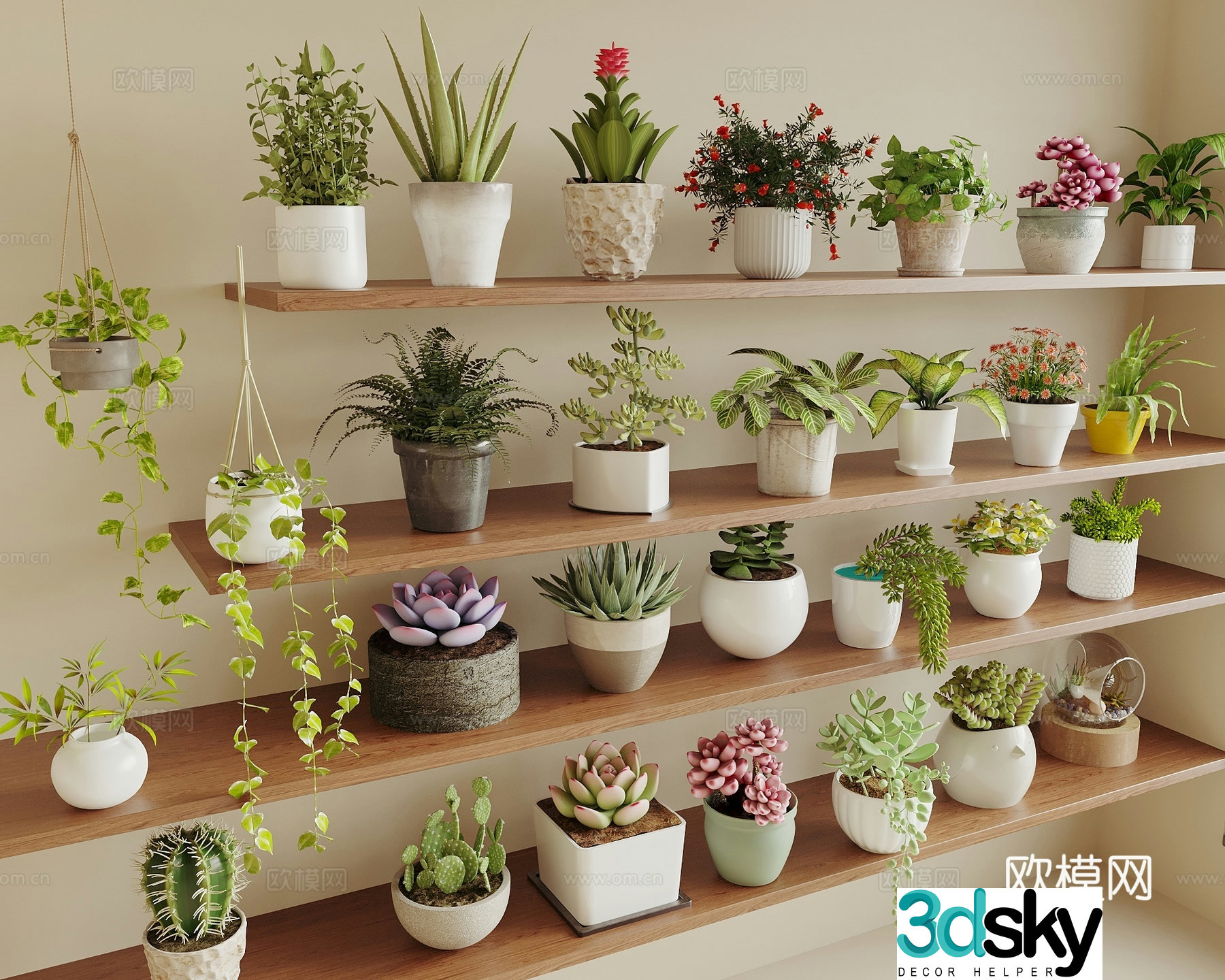 Potted plants Succulent potted plants Green plant Potted plants Spider plants Small potted plants Cactus 3D model
