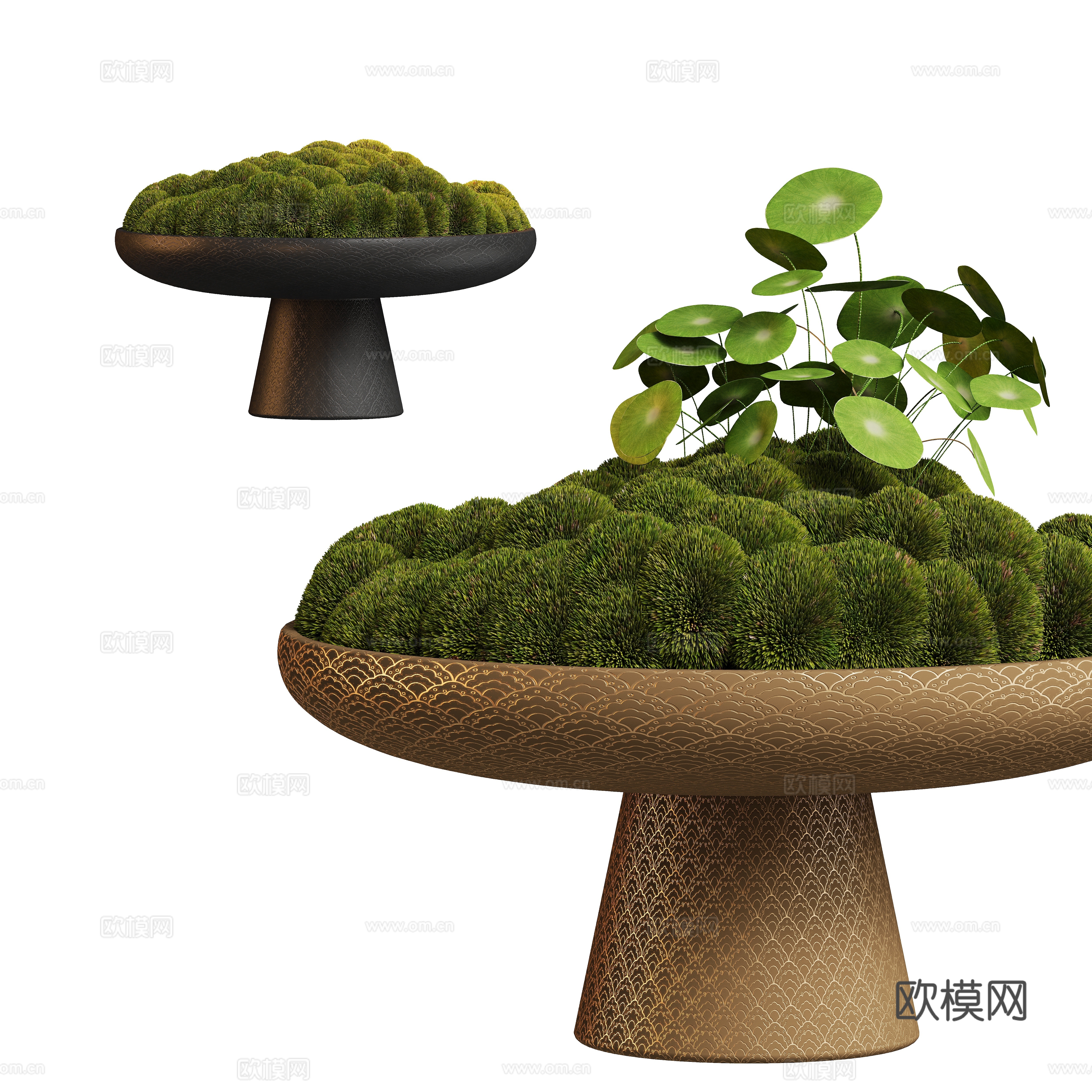 New Chinese Brucea Pot Plant 3D Model