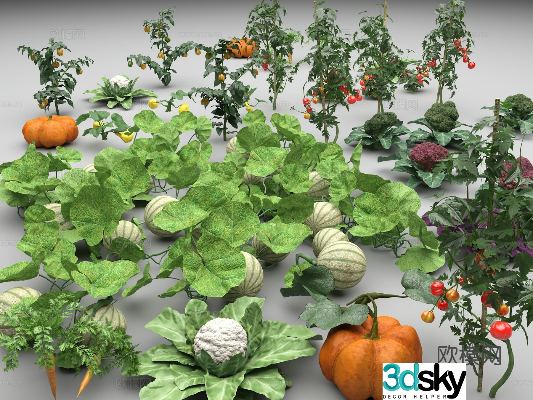 Vegetables Pumpkin Tomato Cabbage Carrot Carrots Watermelon Melon Broccoli 3D Model