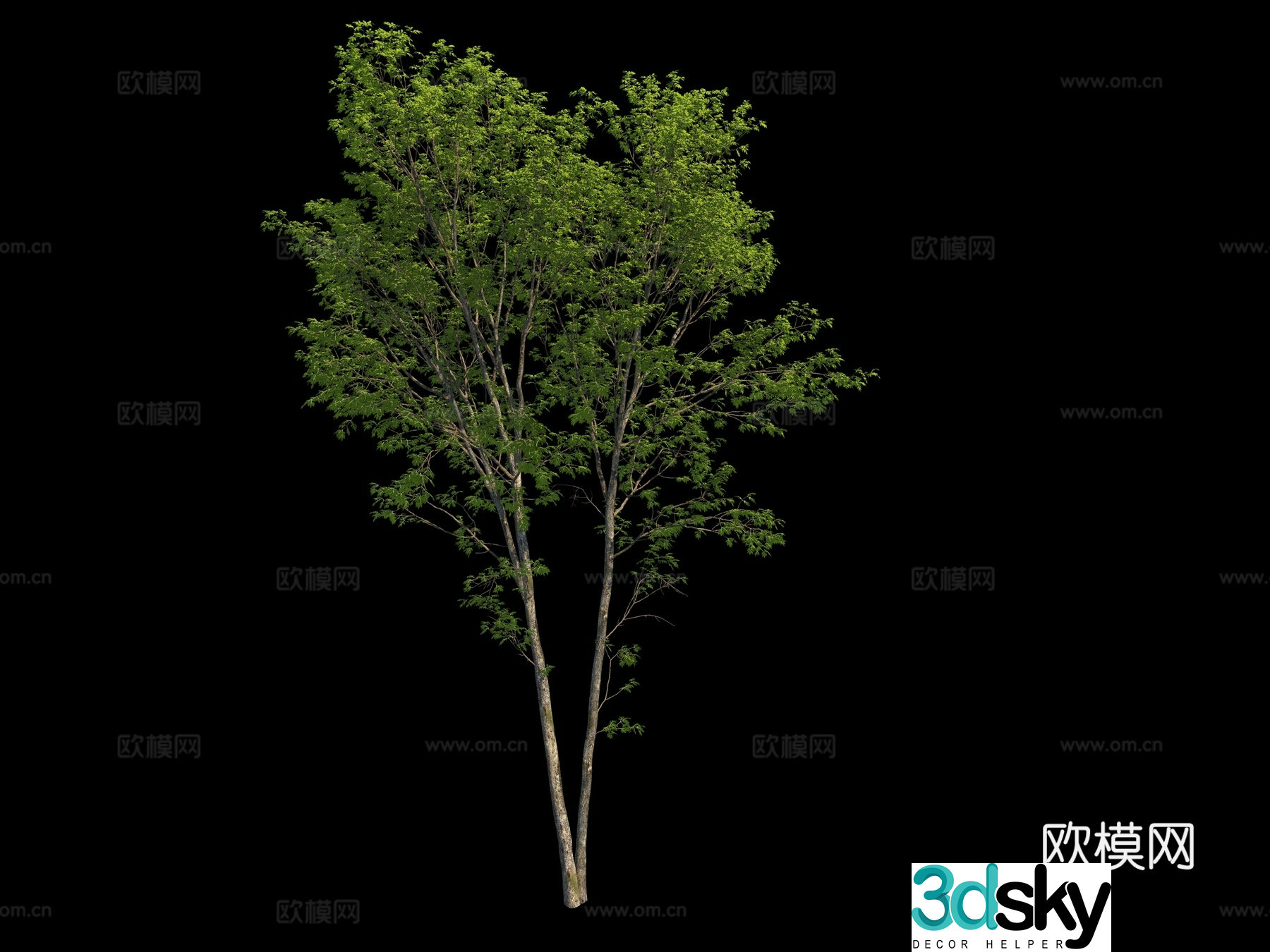Modern outdoor trees 3d model