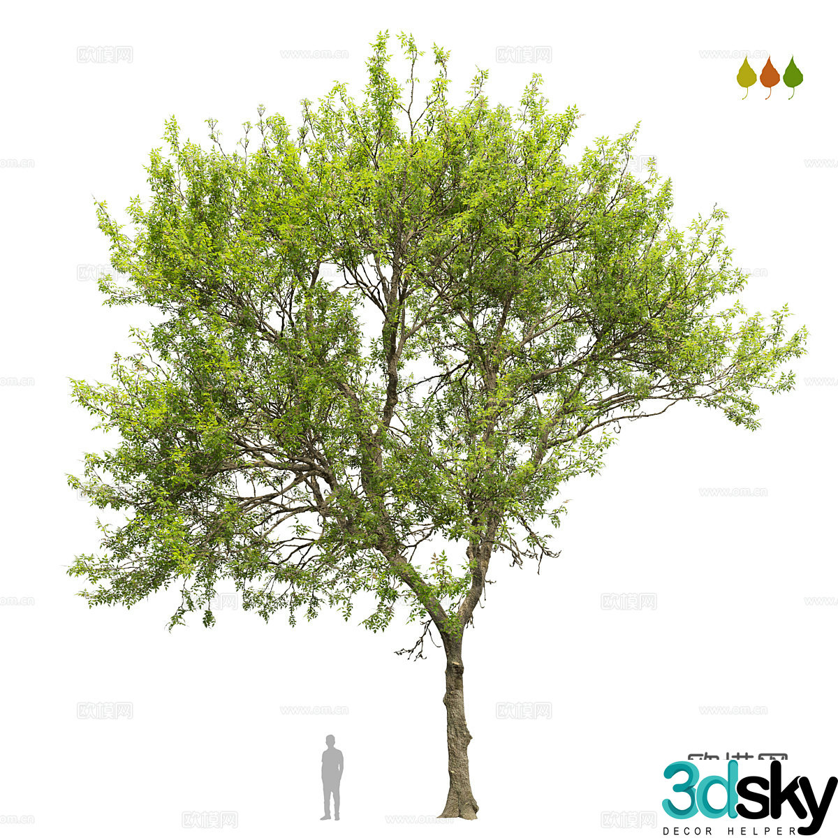 Tree Landscape Tree 3D Model