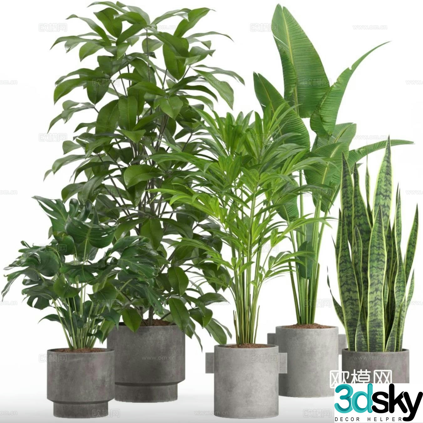 Green plant potted 3D model