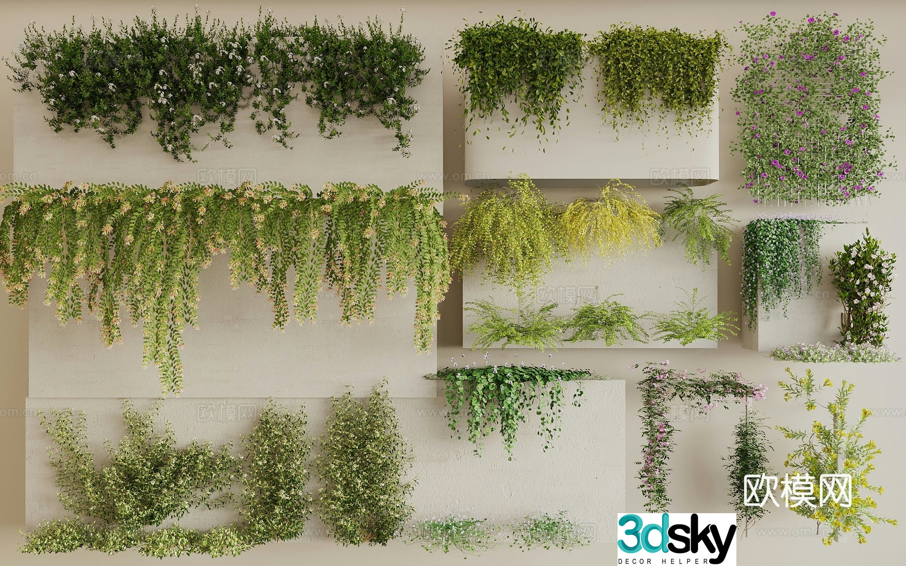 vine crawling plants rose vine vine rose plant wall flower vine ivy 3d model