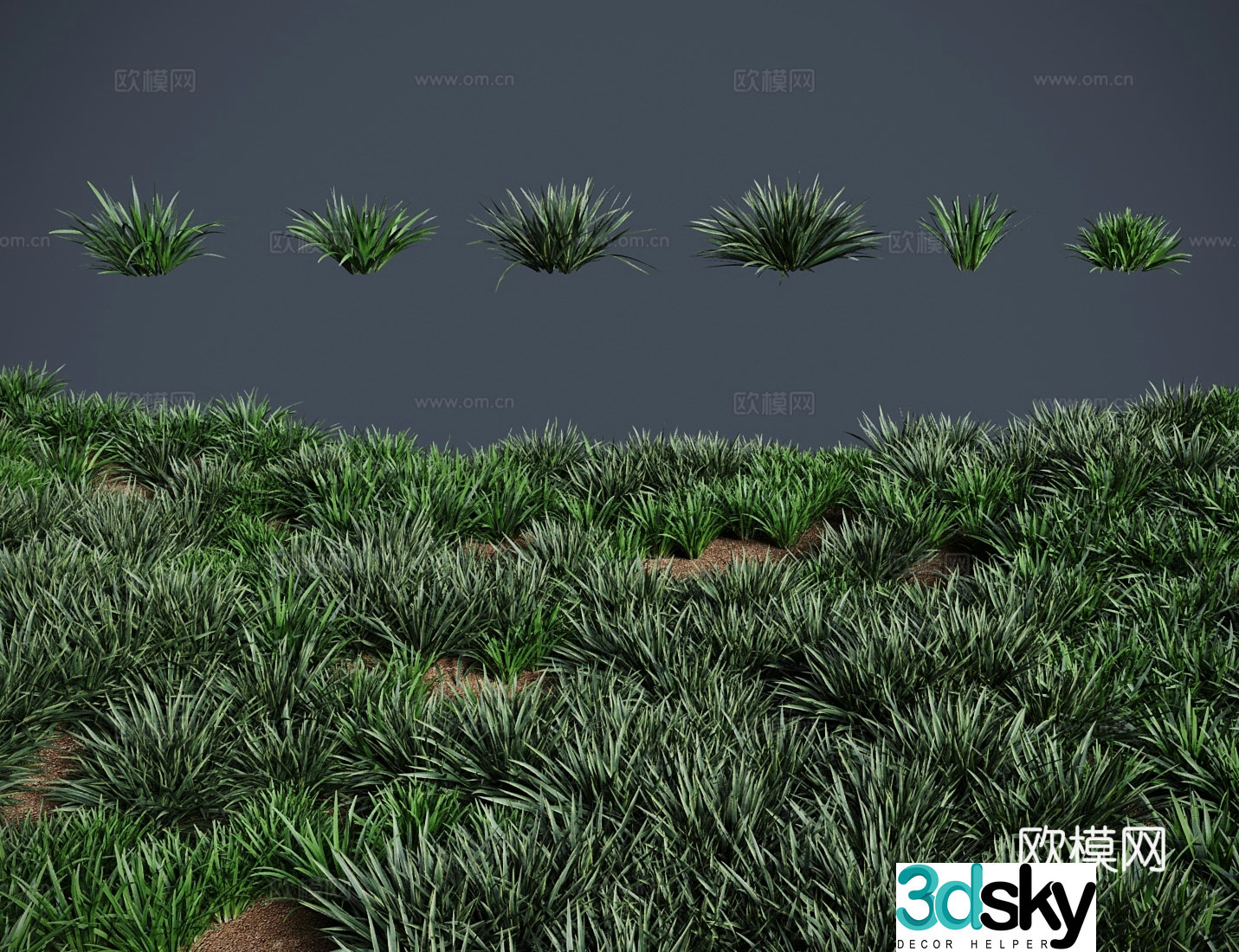 Modern meadow lawn calamus meadow shrub 3d model