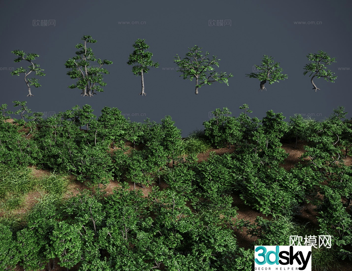 Modern landscape tree Pepperwood bonsai shrub 3d model