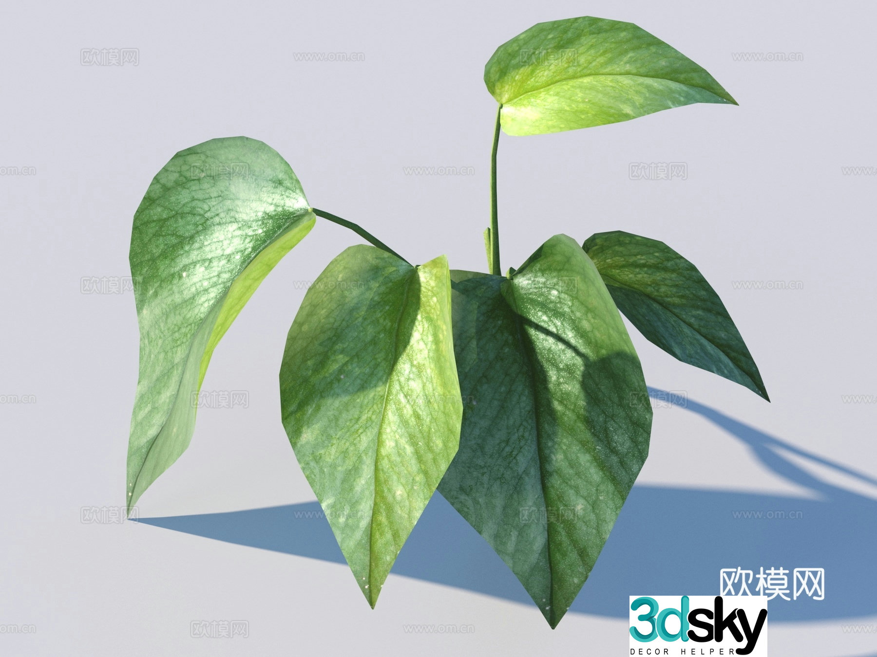 Vegetables and leaves leaves leaves 3D model