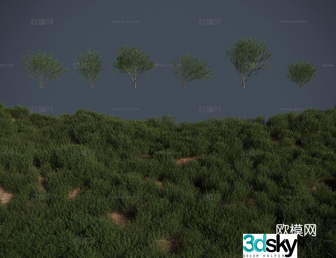 Modern tree black willow tree shrub 3d model