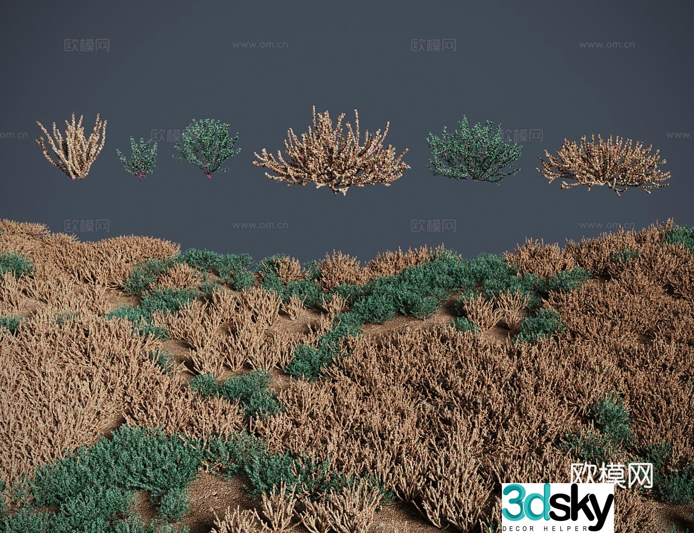 Modern meadow lawn Salt grass meadow shrub 3d model