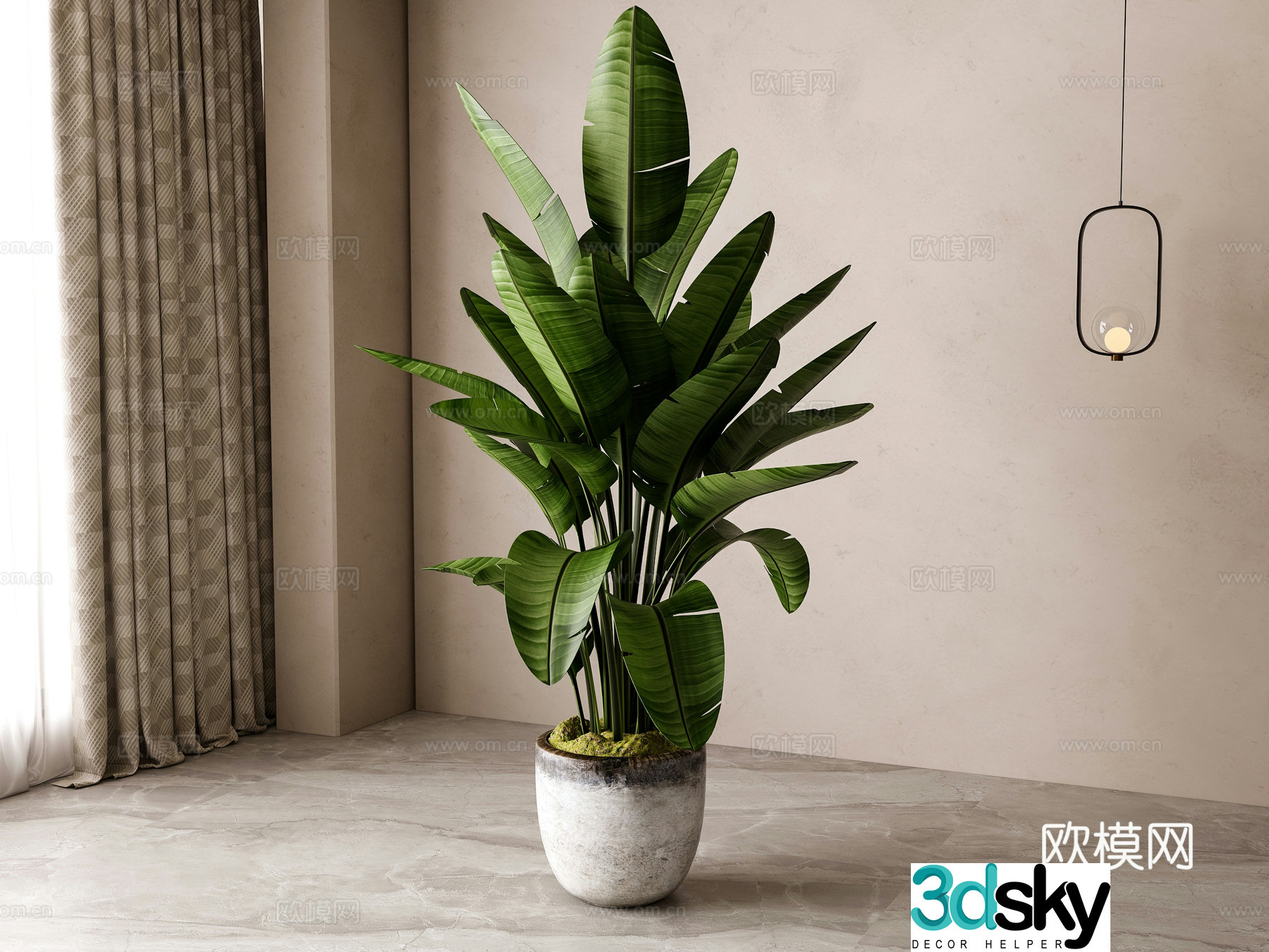 Modern green plant potted 3D model