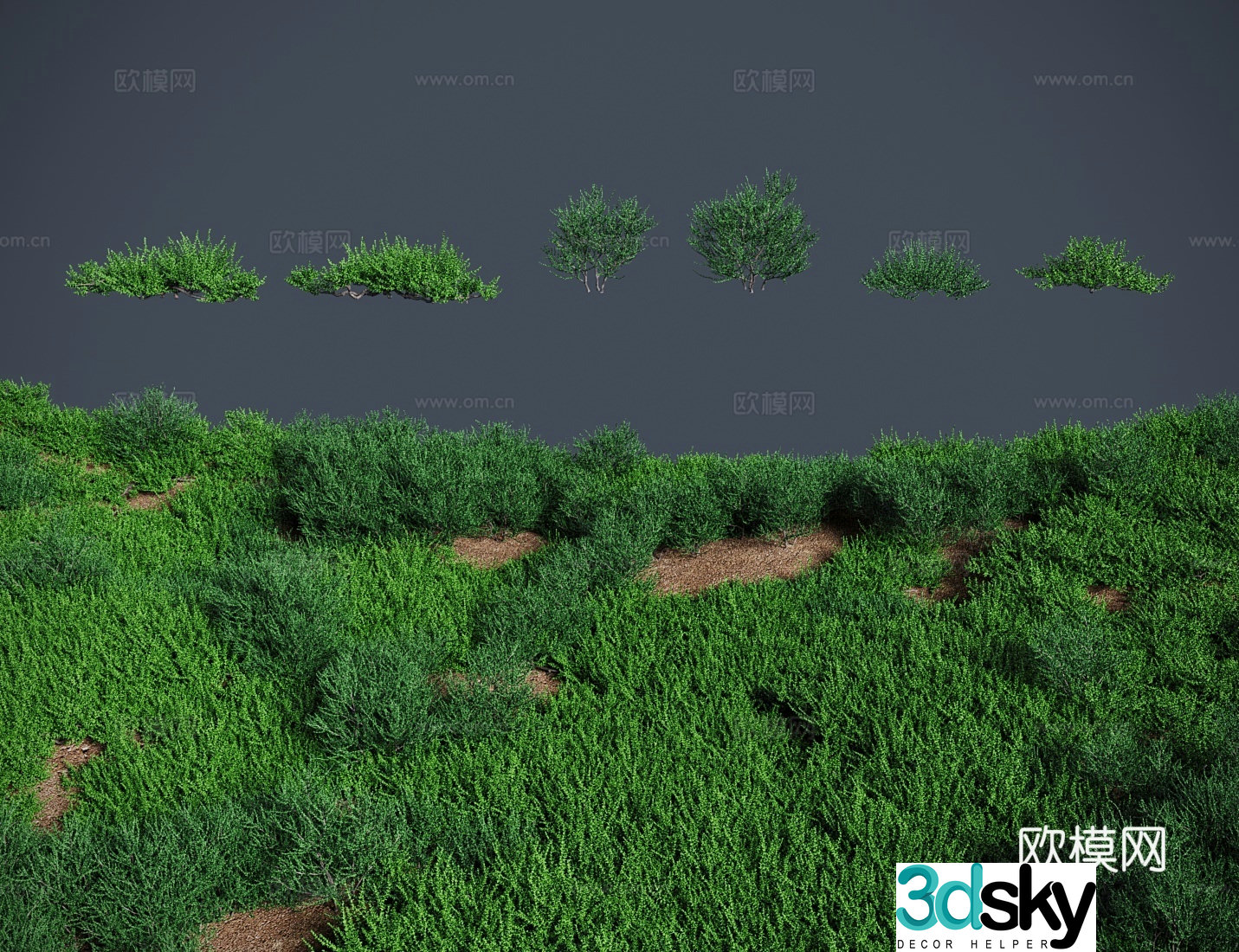 Modern meadow lawn Salt claw grass shrub 3d model
