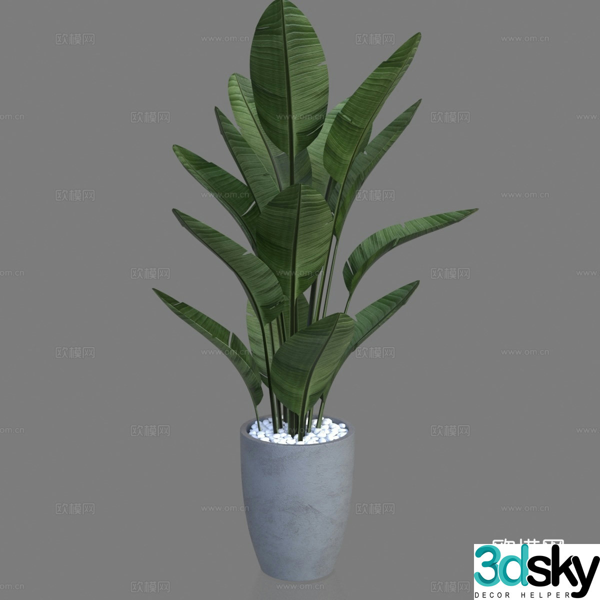 Potted plants Bonsai Green plants Houseplant 3D model
