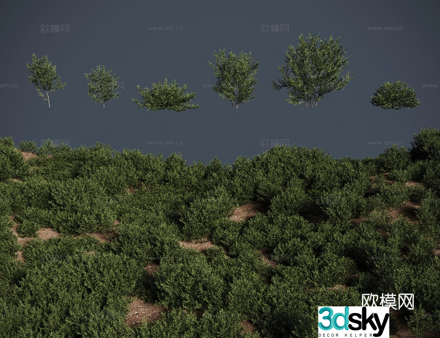 Modern meadow lawn Salt ear wood meadow shrub 3d model