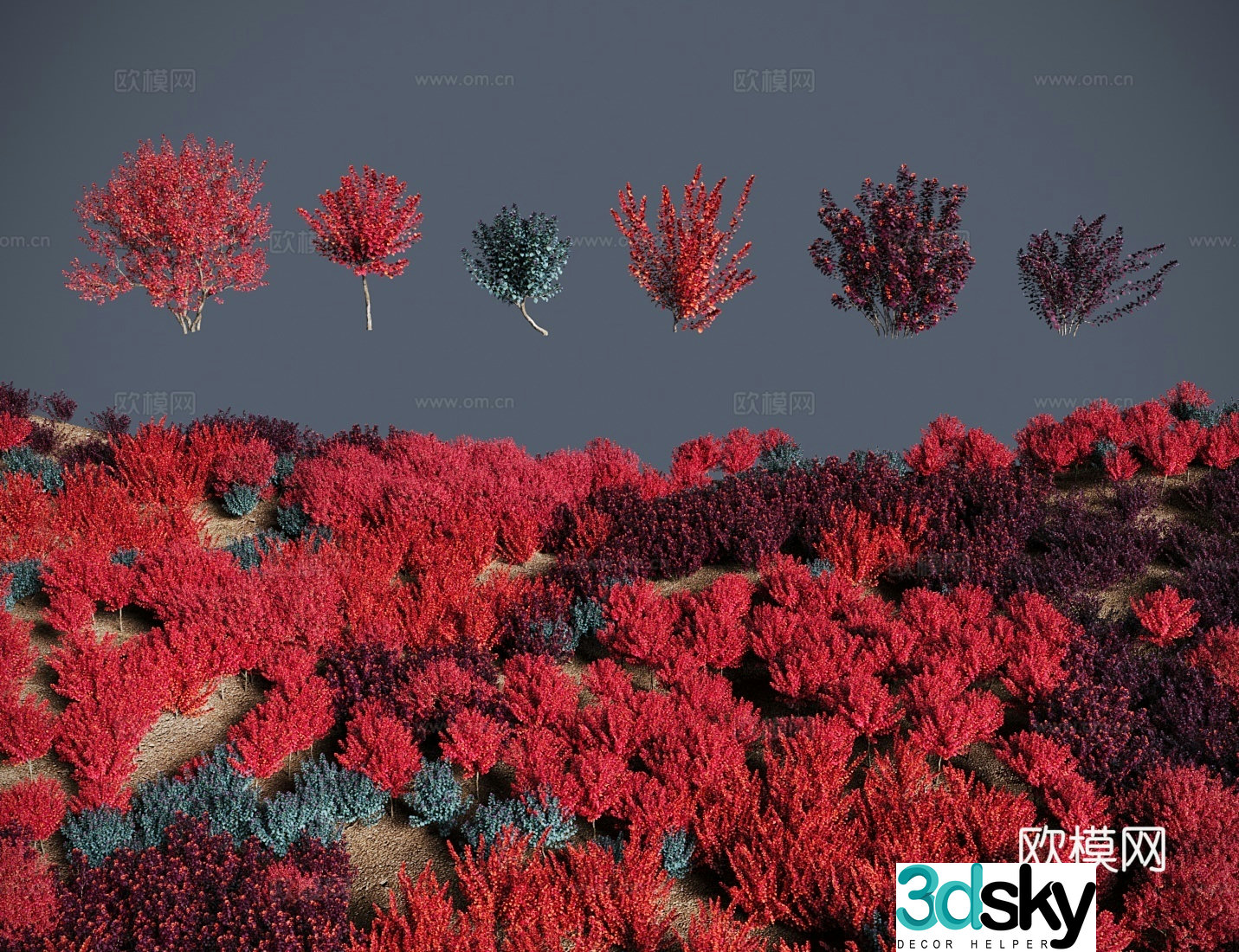 Modern landscape tree shrub Blood-skinned maple tree Maliguang Shaanxi maple bald maple 3D model