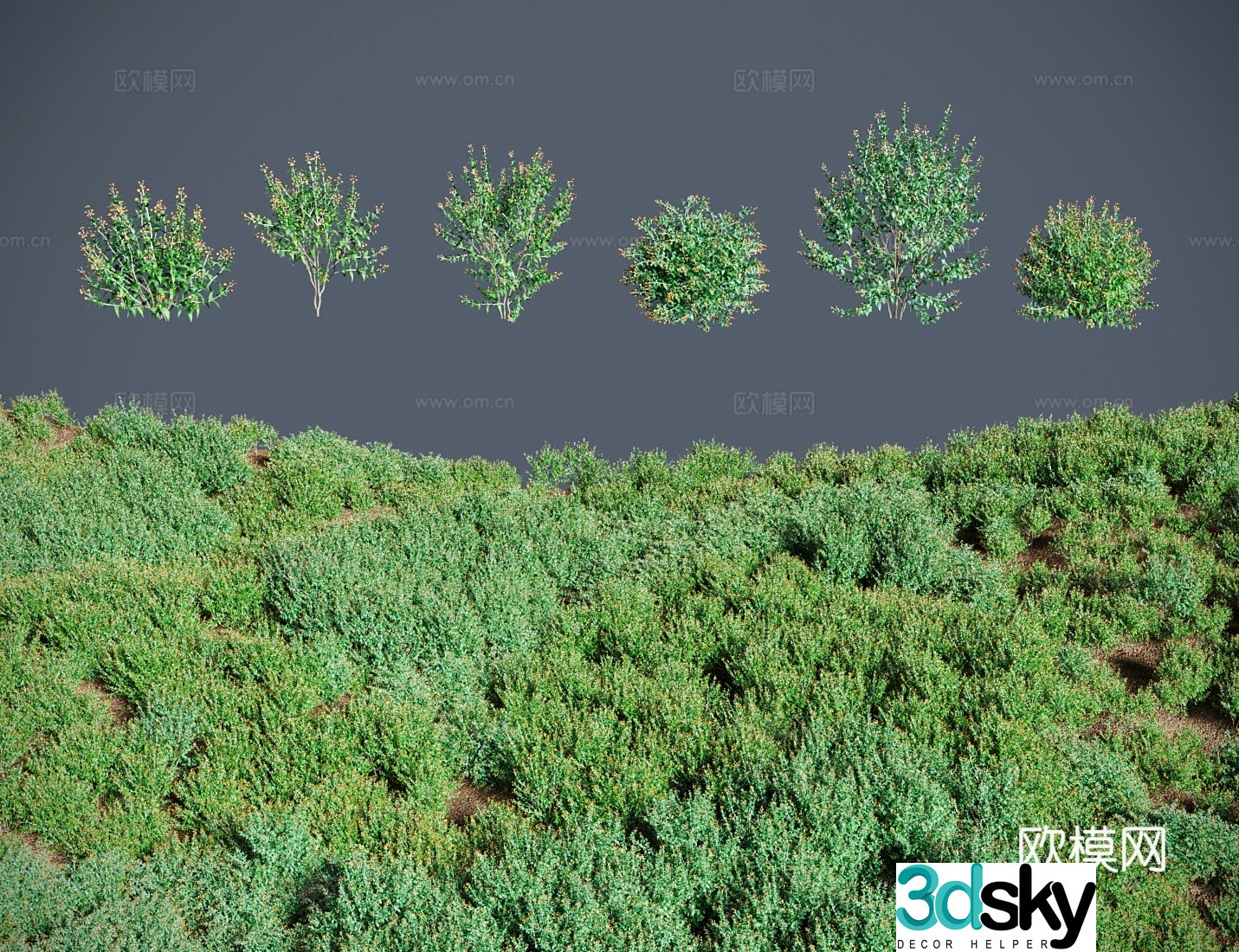 Modern landscape tree shrubs balls and flowers drunk fish grass closed fish flower itch fish tail grass 3d model