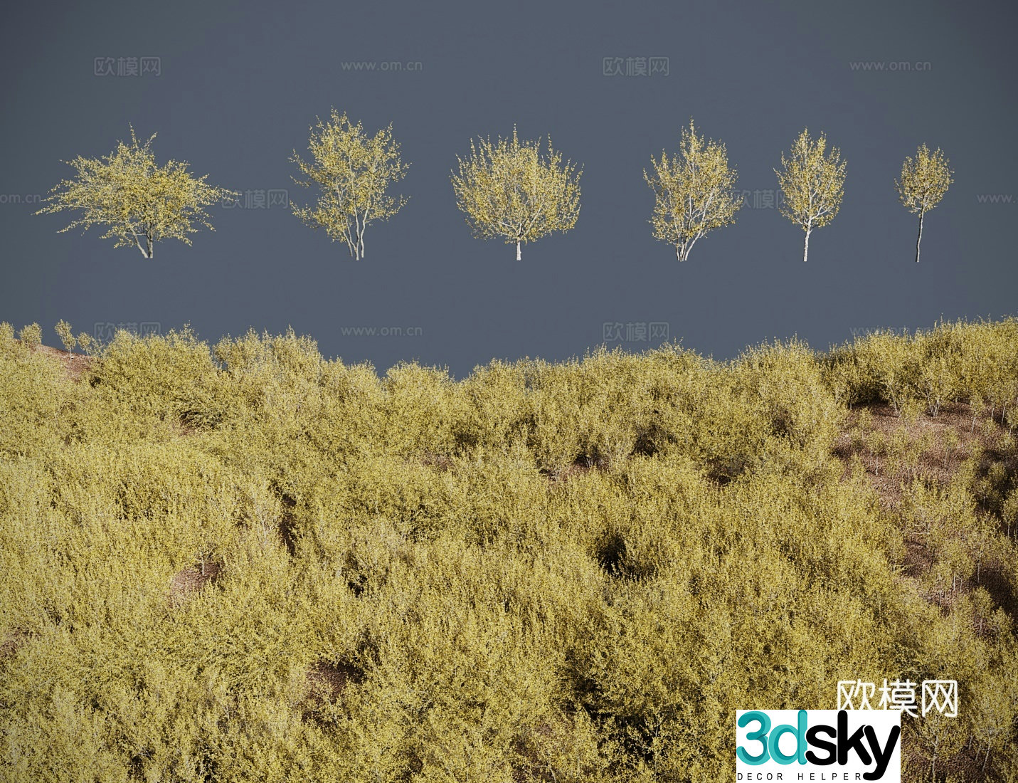 Modern landscape tree shrub Eurasian dogwood 3d model