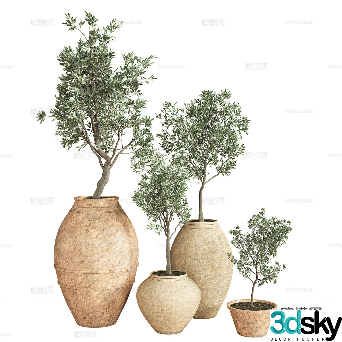 Green plant potted 3D model