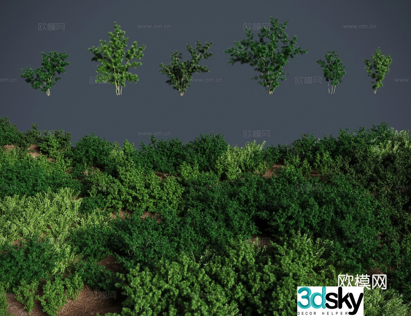Modern landscape tree Penglai pine bonsai shrub Hydrangea pine water pine pine leaf pine bamboo pine leaf asparagus 3D model